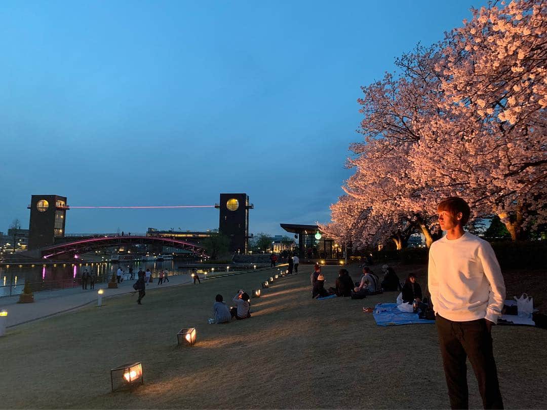 花井聖さんのインスタグラム写真 - (花井聖Instagram)「#この前の #夜桜ver #3枚目なんかやらしい #明日からまた頑張ろう」4月16日 14時11分 - sho___1110