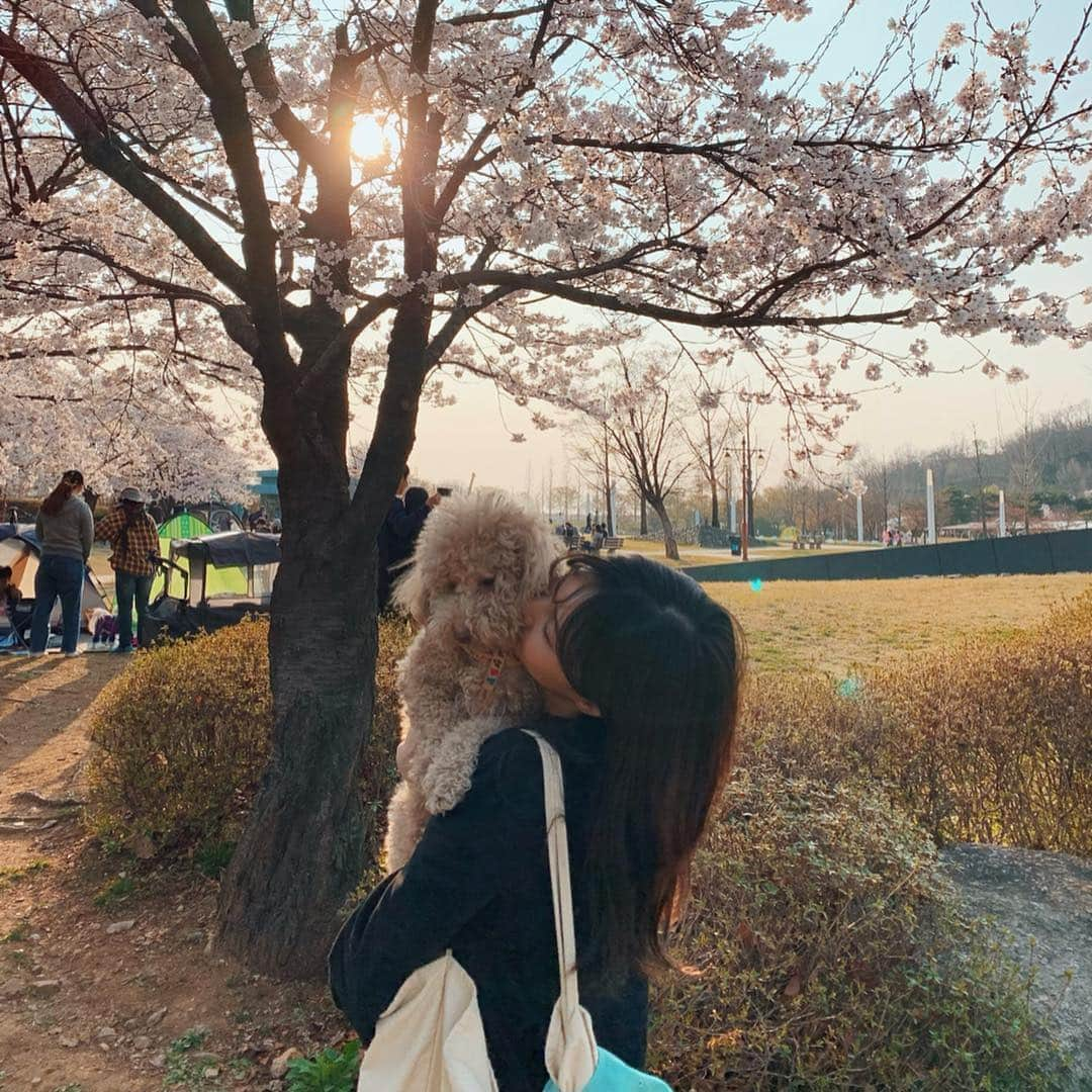 カン・ヘヨンさんのインスタグラム写真 - (カン・ヘヨンInstagram)「내 보물들 내 전부 첫번째  나밖에 모르는 바보들🐶🐶♥️」4月16日 14時20分 - mangdoo_noona