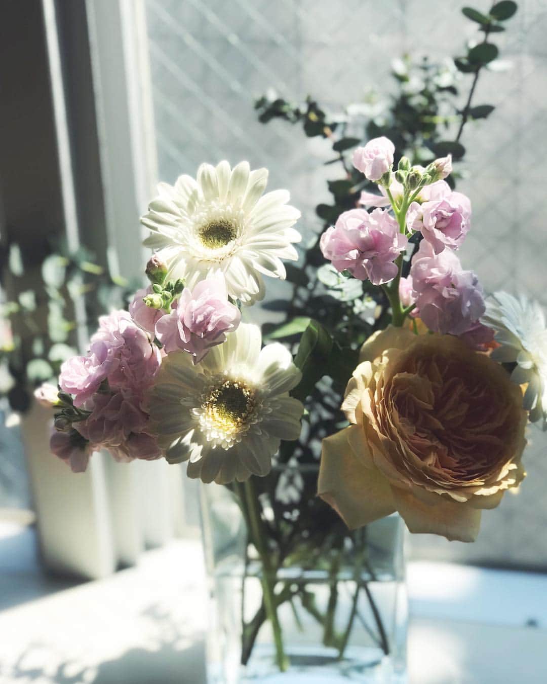 佐倉真衣さんのインスタグラム写真 - (佐倉真衣Instagram)「🌹🥰🌿 . ふらっとお散歩帰りに買った薔薇だけど、図らずもお部屋がいい香りになって癒し♡ ナチュラル系欲してる。 . #花のある暮らし #rose」4月16日 14時28分 - maitanaka20