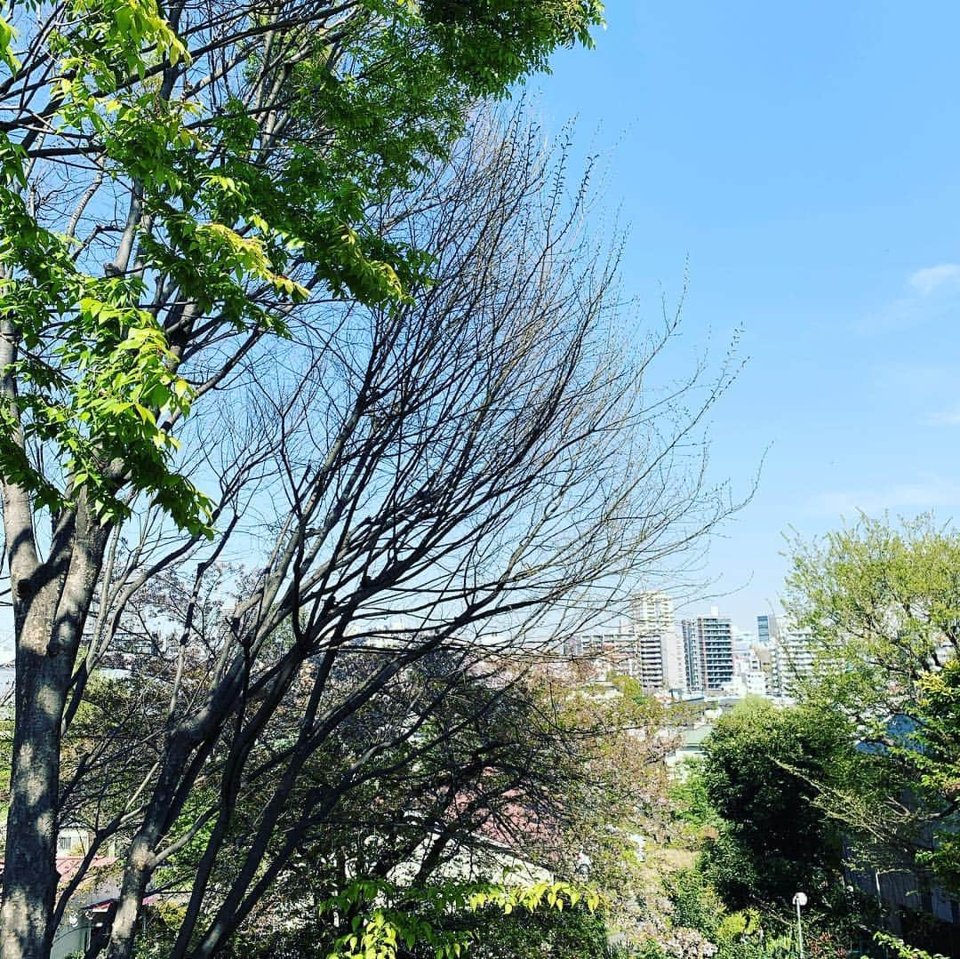 木村了さんのインスタグラム写真 - (木村了Instagram)「お散歩日和。 一人でフラッと公園へ。  初めて立ち寄った珈琲店でアイスコーヒー買って飲む。  のんびりした休日。 やらなきゃいけない仕事はあるけど、ちょびっと現実逃避。  #現実逃避日和  #kannoncoffee」4月16日 14時41分 - r_k0923