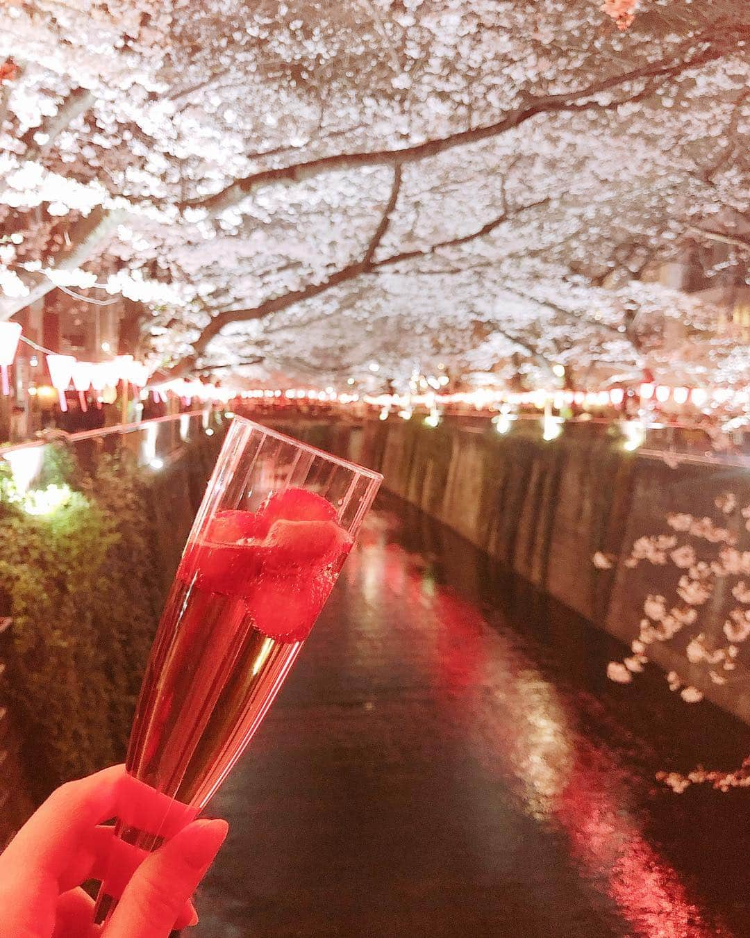 小倉星羅さんのインスタグラム写真 - (小倉星羅Instagram)「オトナなお花見🥂🌸 1枚目と2枚目の写真に間違いがあります🤣 なんでしょーか🍓笑」4月16日 14時42分 - seira_ogura