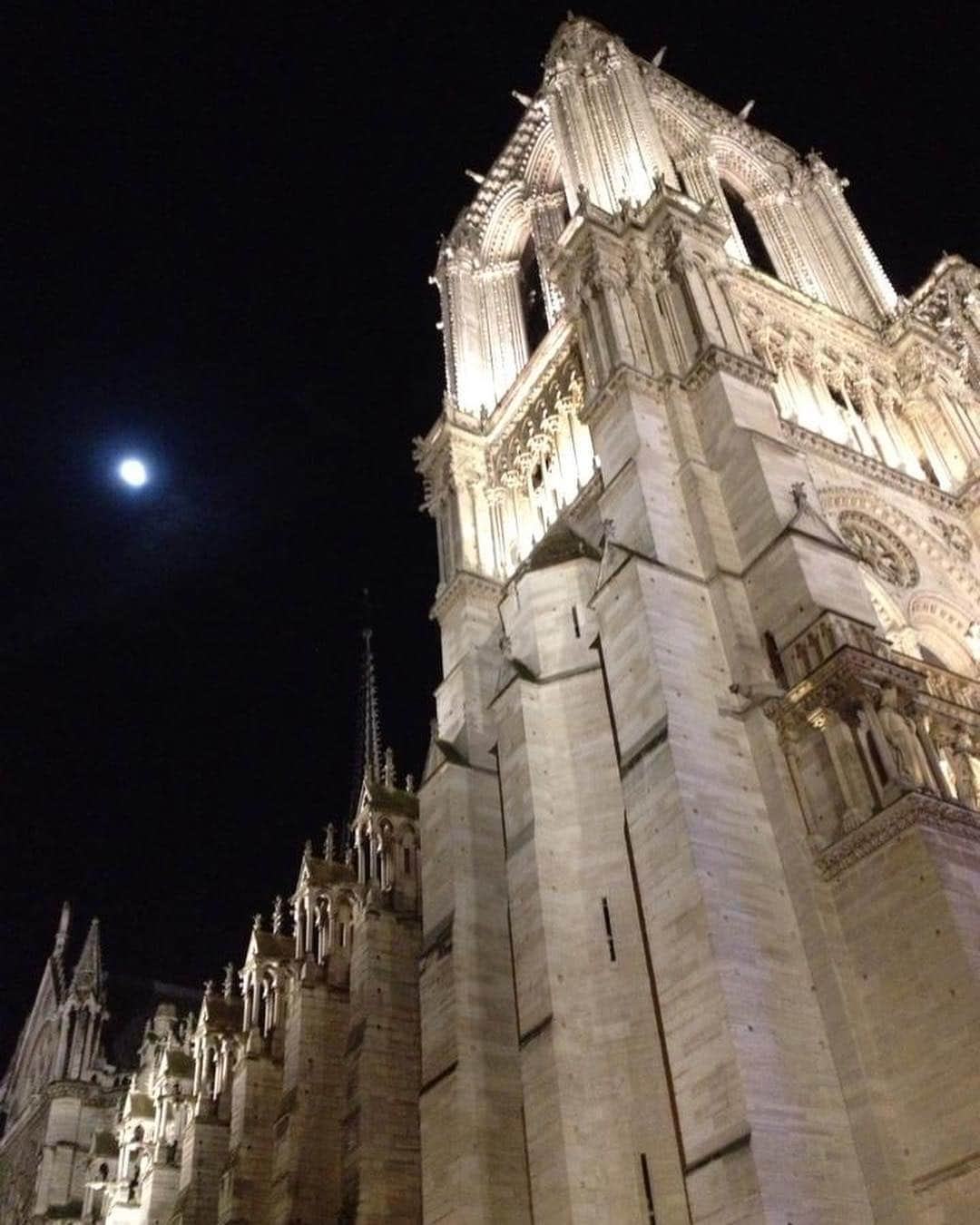 大森美希さんのインスタグラム写真 - (大森美希Instagram)「Souvenir du 7 décembre 2014 😢💔 #notredamedeparis  #paris  #ノートルダム大聖堂  #パリ」4月16日 15時01分 - mikiomori_