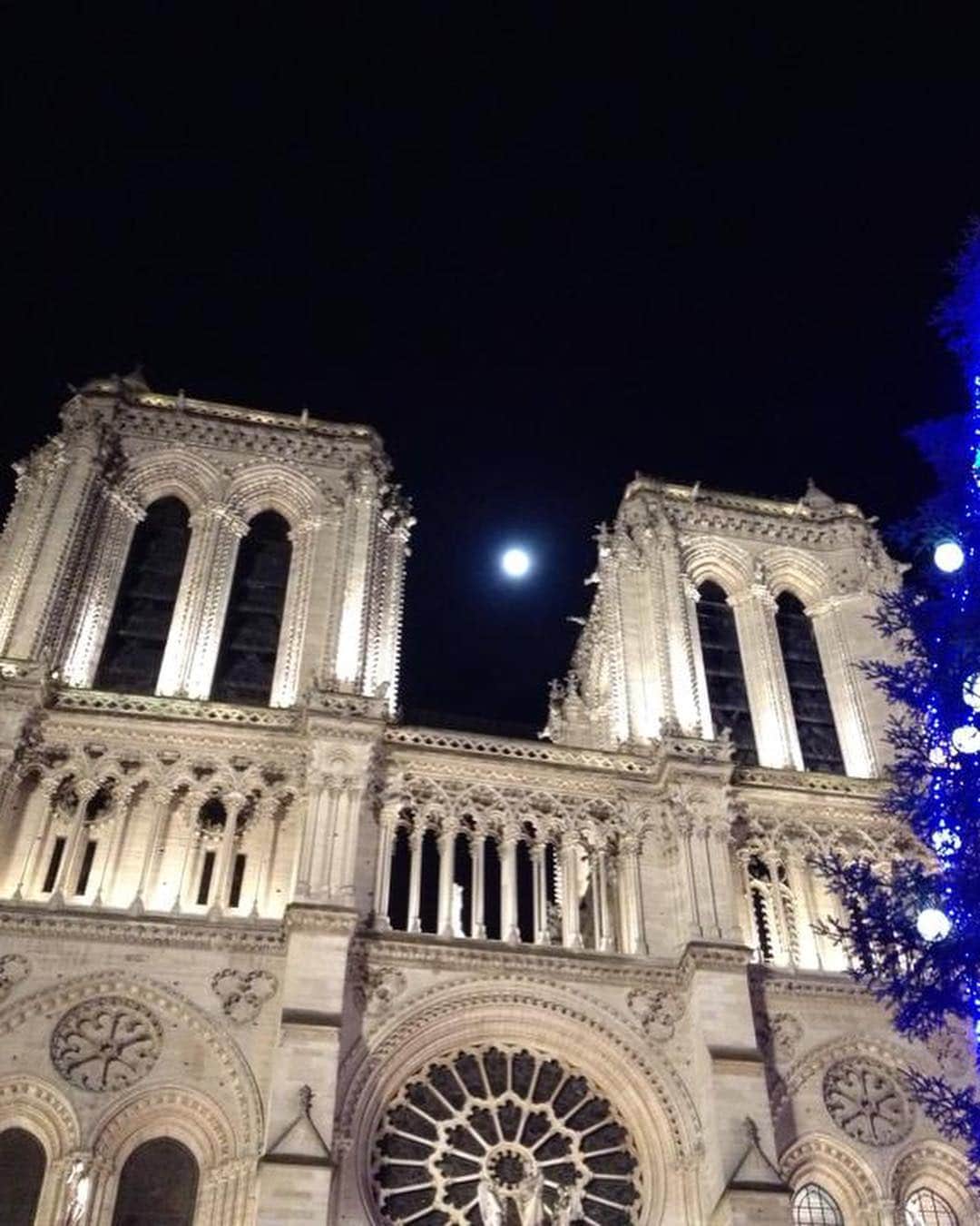 大森美希さんのインスタグラム写真 - (大森美希Instagram)「Souvenir du 7 décembre 2014 😢💔 #notredamedeparis  #paris  #ノートルダム大聖堂  #パリ」4月16日 15時01分 - mikiomori_