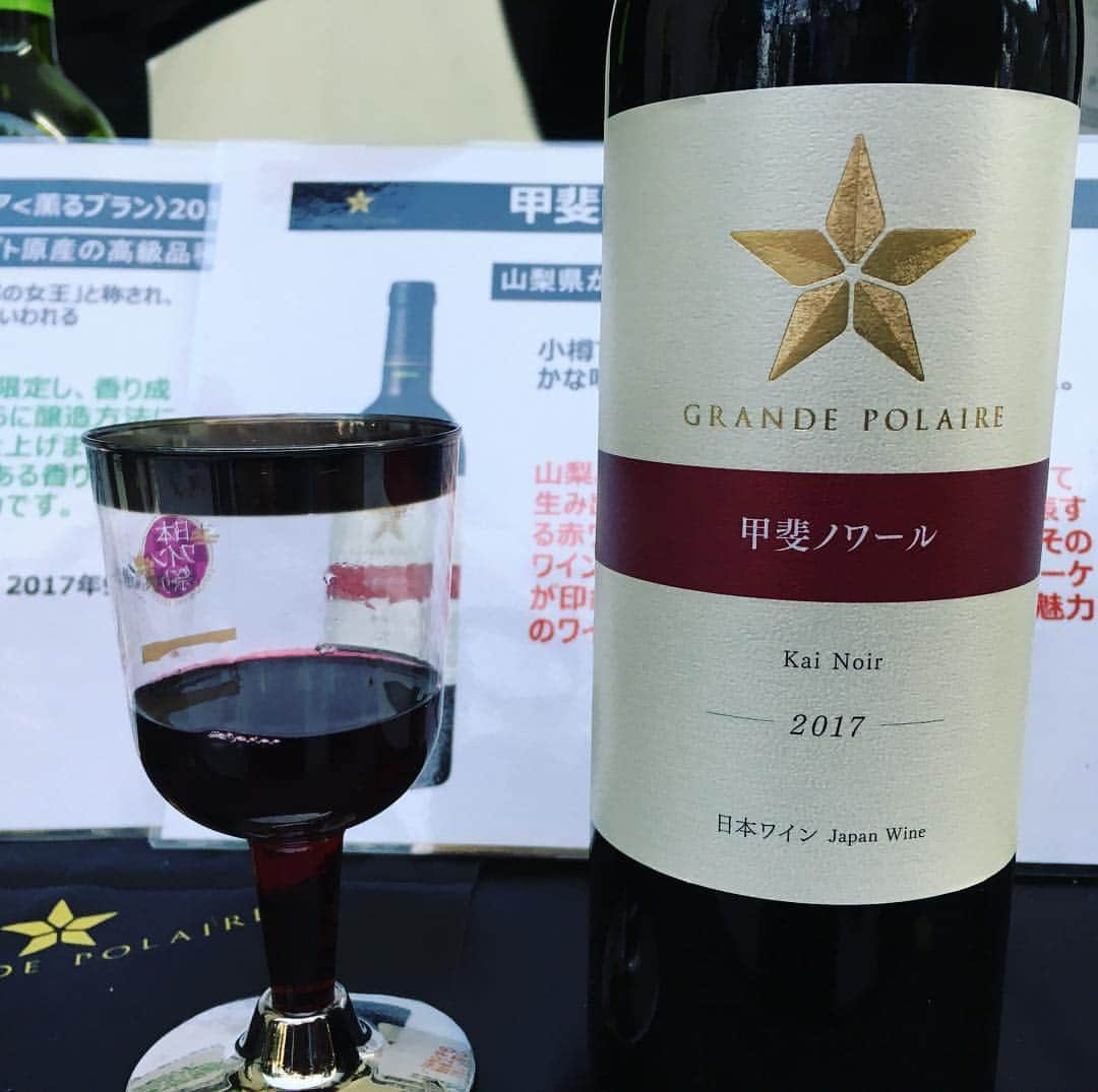 ひぐち君さんのインスタグラム写真 - (ひぐち君Instagram)「日本ワイン祭りへ🍷 今年は49ワイナリーも参加のビッグイベント。 東北ヴァンダジェで出会った亀ヶ森からスタート。 飲み始めると途中から写真を撮るのを忘れてしまうという、あるあるです😅 #yamasauvignon  #紅の夢 #cidre 2018 #亀ヶ森醸造所  #スパークリングナイアガラ #朝日町ワイン  #sauvignonblanc 2017 #信州たかやまワイナリー  #甲斐ノワール 2017 #グランポレール  #merlot 2015 #井筒ワイン #醗泡プリデムース #delaware  #日本ワイン祭り 第5回 #japanwinefestival  #日比谷公園 #tokyo #日本ワイン 🇯🇵 #japanesewine #vinjaponais  #wine #vin #vino #winetime #winelover #instawine #wineexpert  シャトーメルシャン サントリー マンズワイン 北海道ワイン 島根ワイナリー シャトージュン はすみふぁーむ&ワイナリー 葡蔵人 大和葡萄酒 カンティーナジーオセット ココファームワイナリー フジッコワイナリー 本坊酒造 高畠ワイナリー グランポレール フェルミエ ふくしま逢瀬ワイナリー 越後ワイナリー ドメーヌヒデ 月山トラヤワイナリー 丹波ワイン ルサンクワイナリー シャンモリワイナリー たてしなップル 五一わいん 秩父ワイン 十勝ワイン 岩の原葡萄園 駒園ヴィンヤード サントネージュワイン シャトー勝沼 アルプスワイン 井筒ワイン 安曇野ワイナリー 蒼龍葡萄酒 亀ヶ森醸造所 安心院葡萄酒工房 カーブドッチワイナリー 朝日町ワイン 東根フルーツワイン 兎田ワイナリー 平泉ワイナリー 月山ワイン山ぶどう研究所 アルプス ルミエール くずまきワイン さぬきワイナリー 信州たかやまワイナリー モンデ酒造」4月16日 15時24分 - higehiguchi