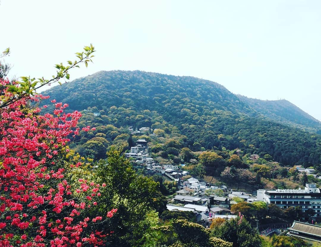 市川笑野さんのインスタグラム写真 - (市川笑野Instagram)「琴平公園からの眺め！ 気持ちの良い幕間散歩！ #琴平公園 #象頭山 #金刀比羅宮 #金丸座 #こんぴら歌舞伎 #kabuki #japan」4月16日 16時18分 - emino.i