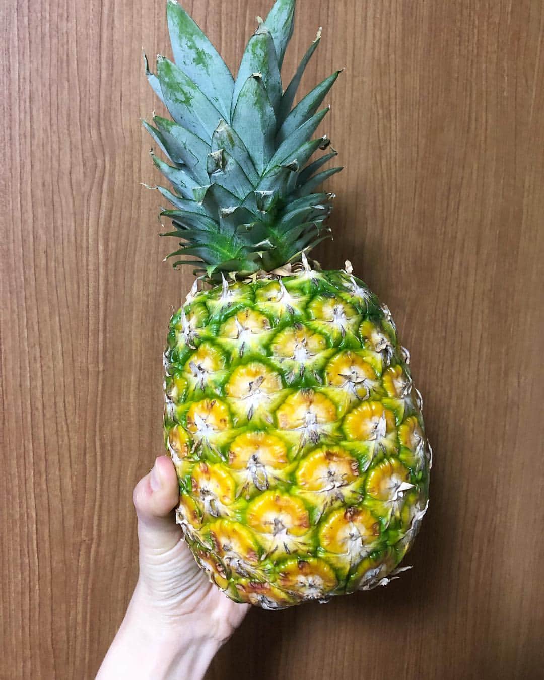 馬渕史香のインスタグラム：「葉っぱが小さい、黄色い、ずっしり重い、お尻のとこがカビてない、いい香りがする おいしい条件が揃ってるやつあったから、前のがまだ残ってるし、イチゴもまだあるんだけど、買っちゃった🍍 . まるごと一個買って、切って、冷凍して、朝ごはんにヨーグルトに混ぜて食べるのが最近のルーティン . 手の筋で重さ伝わるかな笑笑 #パイナップル #🍍 #pineapple  #朝ごはん #ヨーグルト #フルーツ #fruits  #あしざわ家 #主婦」