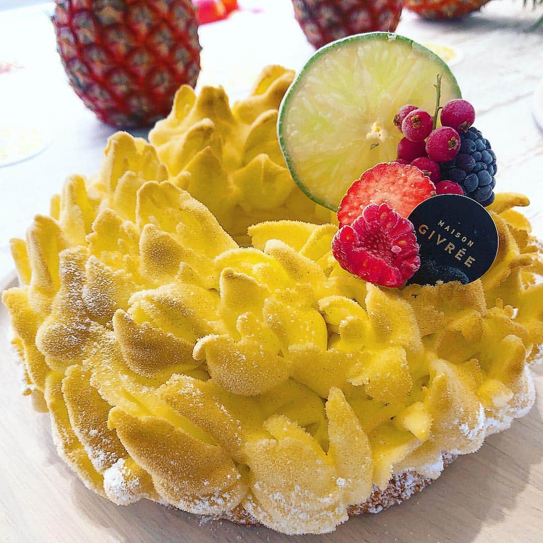 里井真由美のグルメインスタ