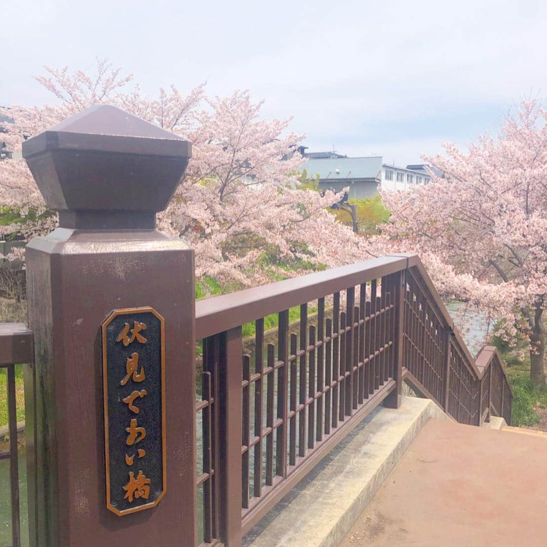 佐倉知里さんのインスタグラム写真 - (佐倉知里Instagram)「in 京都⛩🌸 滞在時間24時間ない弾丸旅行だったけど 凄く楽しめたー♡ . 平安神宮でさくらみくじ🌸(あれうさぎ神社でもおみくじしてたなぁ🤔) 二寧坂にある風情あるお座敷のスタバに 桜が満開のであい橋(きみの膵臓をたべたい♡) 京都の街並みもやっぱり素敵で 夜は鴨川沿いのイタリアンで美味しいお料理とワイン🍷 そして新幹線でゆったり帰宅。 . とにかく桜が満開でお天気もよくて嬉しかった🌸 . . . . #持ち物はこれだけ #着の身着のまま #素敵なお箸沢山購入 #京都弾丸旅行#京都旅行#京都桜#さくらみくじ#二寧坂スタバ#伏見であい橋 #kyoto#kyototrip」4月16日 16時38分 - chisa_tiara