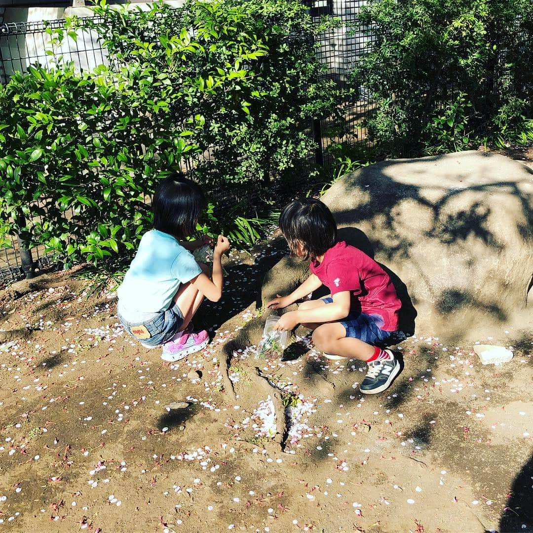 SHEILAさんのインスタグラム写真 - (SHEILAInstagram)「学校・幼稚園から帰宅して直ぐ公園へ‼️からの習い事へレッツラ👫🎹公園滞在時間、30分。それでも公園で遊びたいらしい☺️しかもひたすら葉っぱを拾ってると言う😂🌿☘🌱❤️こう言う時の2人の会話は本当に可愛いです😍❤️ . #姉弟 #仲良し #葉っぱ #春 #暖かいと #子供達も #ウキウキ #散歩日和 #日々に感謝 #習い事の間 #母さんは #スーパーへ」4月16日 16時31分 - sheichan16