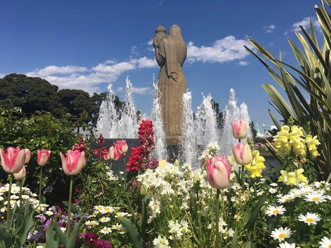 東京カメラ部 横浜分室のインスタグラム