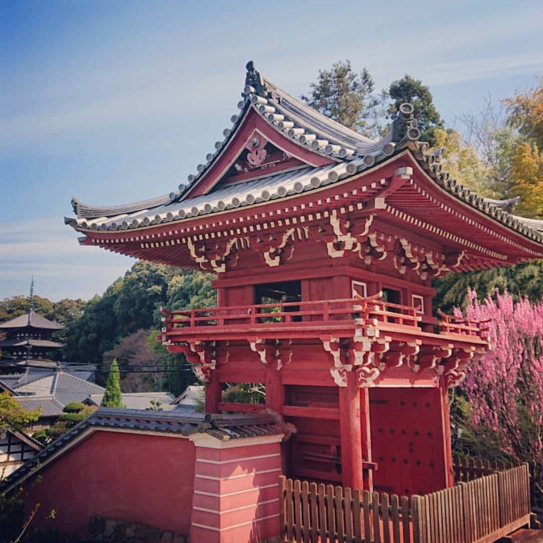 和田益典さんのインスタグラム写真 - (和田益典Instagram)「◆ まだまだ続く「推し寺 當麻寺シリーズ」 . 4/13訪問 . . 奥院の楼門(重文)と桃&桜。 . 小さいながらも満開の桃と、散り行くシダレ&ソメイ。 . . 春はシャッターチャンスが多くて、ついつい沢山撮ってしまう。 . 勿論、一眼とスマホの二刀流は健在です。 (ここは九分九厘スマホですが) . . . #わだます寺社巡り . #スマホ #當麻寺 #当麻寺 #楼門 #重要文化財 #門 #桜 #桃 #三重塔 #奈良 #仏閣 #寺院 #寺 #お寺 #大和路 #葛城市 #flowerstagram #smartphone #peach #temple #nara #history #picture #photo #photostagram #photography #gate #japan #cherryblossom . .」4月16日 17時10分 - masunori_wada