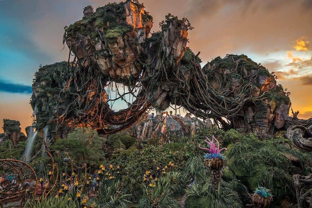 Walt Disney Worldのインスタグラム：「The many wonders of Pandora 😍 #AnimalKingdom #WaltDisneyWorld (📷: @disneyimagemakers)」