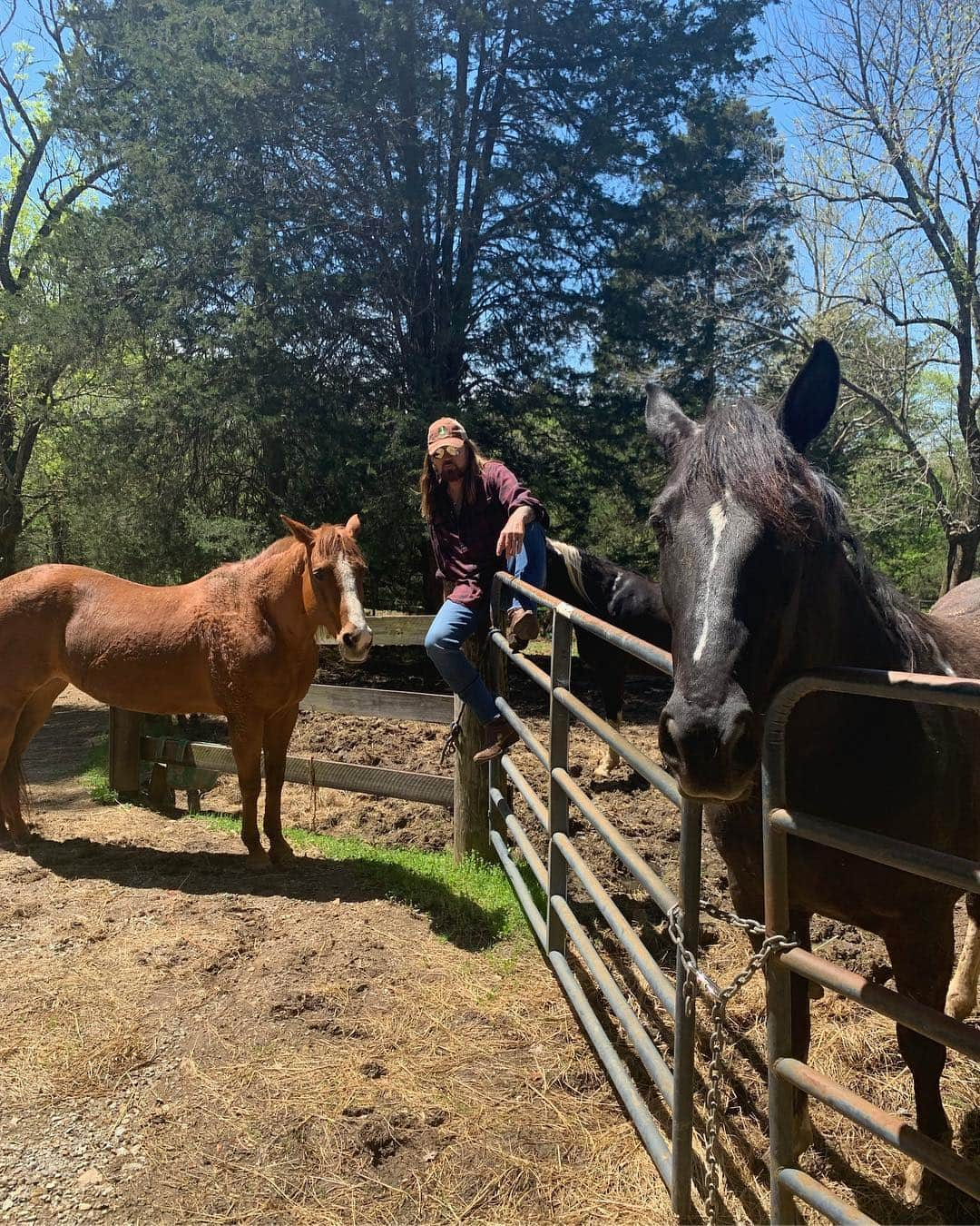 ビリー・レイ・サイラスさんのインスタグラム写真 - (ビリー・レイ・サイラスInstagram)「‪Got the horses in the back, side, and front! Thanks for making #OTR #1 on the @billboard #Hot100! Congrats @lilnasx You’re the Man!!! #OldTownRoadRemix ‬@youngkio_ @dopebyaccident」4月17日 3時32分 - billyraycyrus