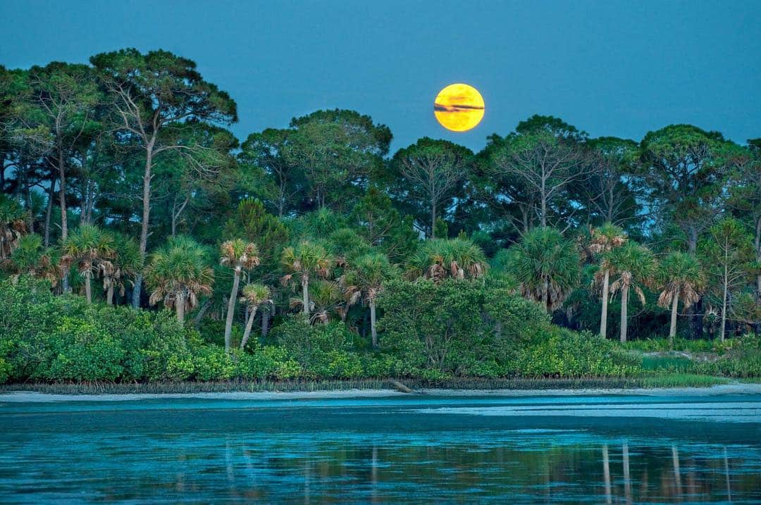 National Geographic Travelさんのインスタグラム写真 - (National Geographic TravelInstagram)「Photo by @carltonward // sponsored by @VISITFLORIDA // For as long as I can remember, Caladesi Island has been a place of inspiration for me. Growing up in the Gulf Coast town of Clearwater, Florida, in the most densely populated county in the southeastern United States, Caladesi Island State Park was where I would go to experience the original nature of my home. Thankfully, Caladesi is one of 175 State Parks that protect and provide access to Florida’s hidden treasures. This photograph is one of my favorites. I walked north two miles from Clearwater Beach. Just after sunset, I was able to capture the full moon rising over Caladesi Island. // @VISITFLORIDA and explore 175 State Parks, hundreds of freshwater springs, infinite mangrove tunnels, and hidden caverns. Let your adventure begin. #LoveFL」4月17日 4時01分 - natgeotravel