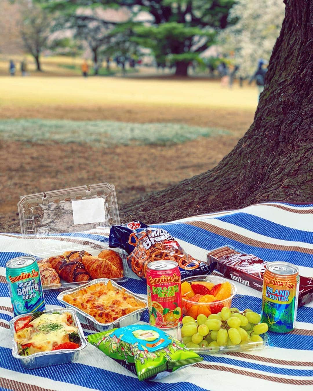 畑有里紗さんのインスタグラム写真 - (畑有里紗Instagram)「4月初めにしたpicnic❤︎🌸 with @jnco0417 @milliah_kanemitsu @otootopi . たわいもないこと話して笑って いつもこのメンバーで過ごす時間は楽しい😋 . #picnic#お花見#春コーデ#パープルネイル #epine#ariifood#エピヌトート#ピクニック#春ネイル #新宿御苑#ピクニック日和#桜#sakura」4月16日 19時15分 - arii_m36