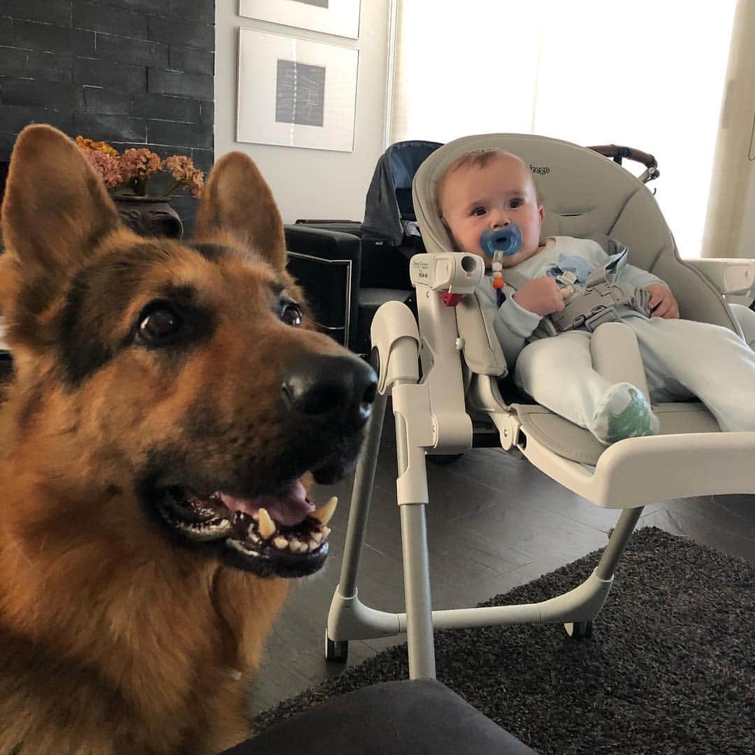 アレハンドロ・フェルナンデス・イグレシアスのインスタグラム：「🐺👶🏼 Ayax&Alex」