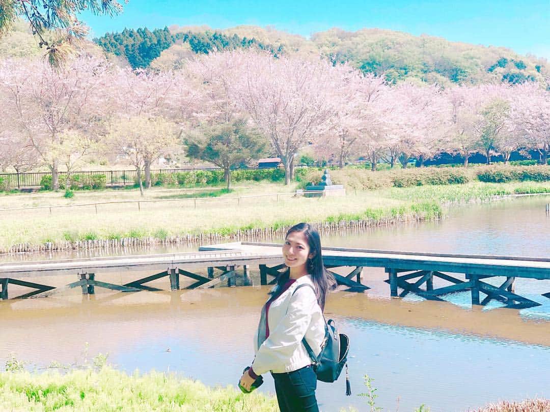 原アンナさんのインスタグラム写真 - (原アンナInstagram)「#厳島湿生公園 の #桜 はまだまだ綺麗でした🌸🌸⛩✨✨ . #かながわらく楽ウォーキング  #厳島神社 #原アンナ」4月16日 19時26分 - annahara821