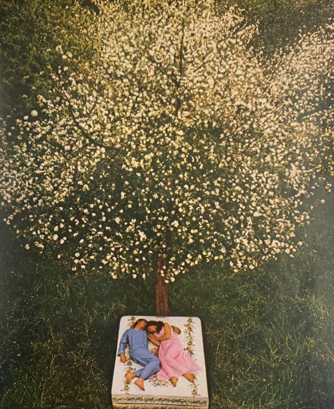 アメリーピシャールさんのインスタグラム写真 - (アメリーピシャールInstagram)「« Nous tout ce qu’on voulait c’était un petit coin de paradis tout simple »」4月16日 19時35分 - ameliepichard
