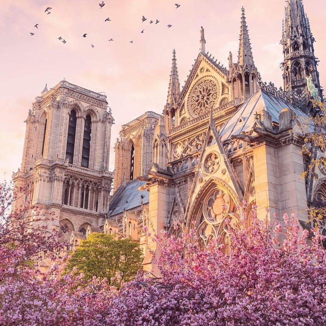 Eliana Michaelichin Bezerraのインスタグラム：「Oremos. #catedral #paris Foto: @saaggo Saúl Aguilar」