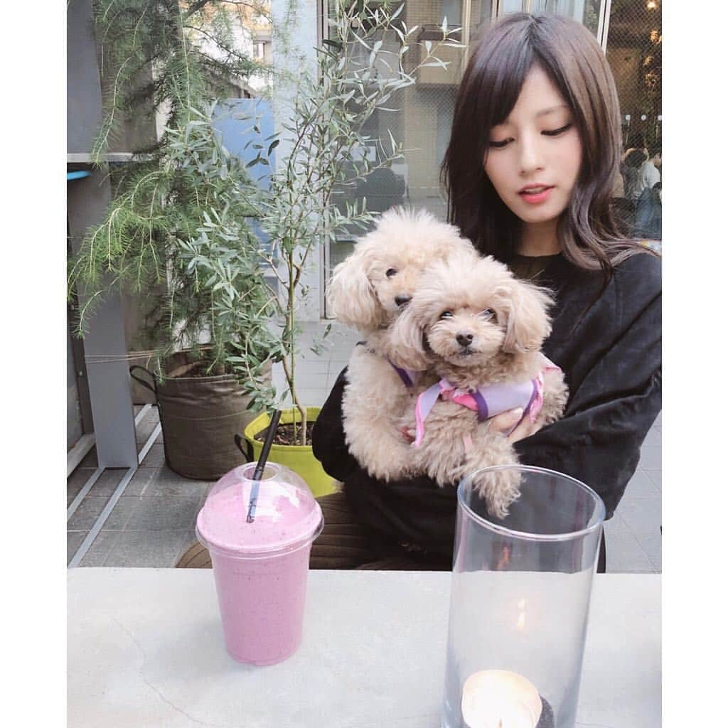 堤礼実さんのインスタグラム写真 - (堤礼実Instagram)「🐩 先日、母と我が家のわんこ達と春の陽気を楽しみまして。 お揃いの服なんか着せちゃって。 片手にスムージーなんか持っちゃったりして。 幸せを感じるひとときでした。 . #あんさんの影に隠れるりんさん #２枚目はなんかほらお洒落な感じするでしょう？ #写真撮影の腕をメキメキとあげる母 #そしてそして #堤母と堤父 #結婚記念日おめでとう✨ #💍👫💓」4月16日 19時51分 - reimi_tsutsumi1123