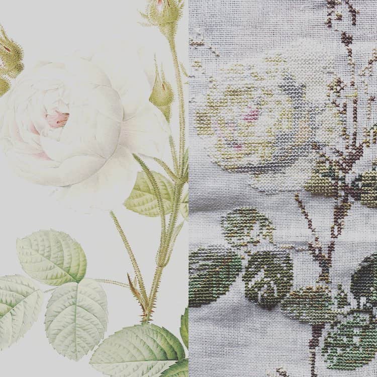 岡田美里さんのインスタグラム写真 - (岡田美里Instagram)「5/10と5/11の展覧会で発表を目指して進めているルドゥーテの薔薇  ルドゥーテの世界的コレクターさんから依頼を受けて 作春(5月)から製作を進めてきた ルドゥーテの薔薇のキットのために。  画像ではなかなかうまく映らないこの絹の綺麗な光沢が…泣  発表するなら、 どこにもないキットにしようと 京都西陣まで出向き、 西陣の古い絹糸の専門家にお願いして、 原画に忠実に絹糸を染めていただき、キットにするという…。 私みたいな未熟者にとっては気の遠くなる作業だったのですが、 DMCの糸でも刺せるように二つの糸番号が記入してあるキットです。  糸の太さを割り出し、 ツヴァイガルトのリネンの生地とのバランスを探して、 リネンに穴が開かないような糸を割り出し、 薔薇が艶やかに咲くように、 さらに仕上がりが、 原画とほとんど同じ大きさになるように。 91×153目で 14ct の場合　 16.5×27.8cm（計算値）です。  展覧会には、フランスで1800年代にプリントされた銅板印刷の本物と 絹糸で刺した作品を並べてご覧になっていただこうと思っていますが、 間に合うか。  これから鬼のバックステッチ あと少しなので、頑張ります！ #刺繍 #クロスステッチ#絹糸 #西陣#麗しのルドゥーテ ナポレオンが皇后ジョゼフェーヌと共に暮らしたマルメゾン宮殿で宮廷画家として活躍したピエール=ジョゼフ・ルドゥーテは、皇后（ジョゼフェーヌ）が世界中から集めた原種や古代品種のバラを繊細に描き「バラのレンブラント」「花のラファエロ」と讃えられました。  ツヴァイガルトのリネンに描くクロスステッチは、原画に忠実なサイズで仕上がります。  京都西陣の絹糸を原画に合わせて染め上げました。美しい光沢が薔薇に宿ります。」4月16日 20時15分 - millieokada