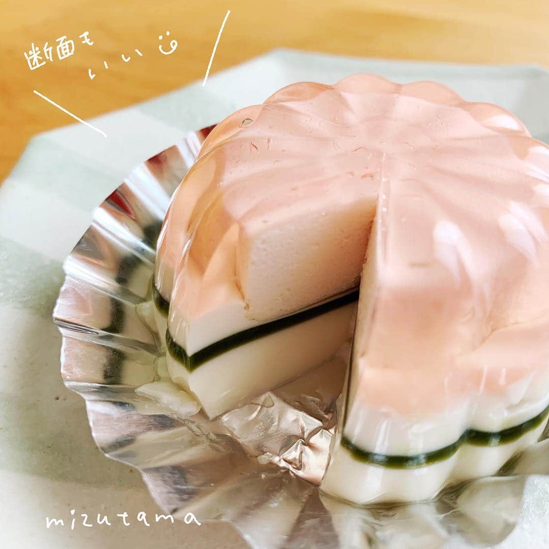 mizutamaさんのインスタグラム写真 - (mizutamaInstagram)「しあわせゼリー😋✨﻿ ﻿ 箱を開けた瞬間、﻿ 満面の笑みがあふれるゼリー✨﻿ そして、これまた本当に﻿ おいしいゼリーなのですー✨﻿ ﻿ 手間がかかっているだろなと﻿ 断面を見て感動✨﻿ うっとり♡﻿ ﻿ ﻿ ﻿ #ゼリーのイエ #ゼリー﻿ #いわき市 #福島 ﻿ ﻿ ﻿ 食いしん坊仲間へ(笑)﻿ 半分おすそわけしたよ(๑¯◡¯๑)﻿ 喜んでくれたよー👍」4月16日 20時25分 - mizutamahanco