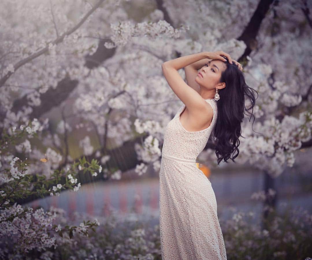 冨田七々海のインスタグラム：「🌸🌸🌸 ・ PC: @hirocameras  Beautiful Sakura in its full bloom in Tokyo. ・ ・ ・ #桜 #お花見 #桜満開 #桜撮影会 #モデル #撮影 #ポートレート #ポートレートモデル #作品撮り #ミスコン #二子玉川 #撮影依頼 #ミスエコインターナショナル #ミス茨城 #ミスユニバース #photoshoot #tokyo #model #sakura #cherryblossom #travel #traveling #traveljapan #spring #beautypageant」