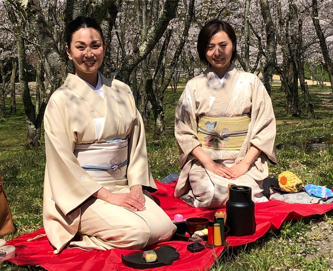 南早苗さんのインスタグラム写真 - (南早苗Instagram)「まだまだお花見🌸@gofukunoasakawa さんが、野点を催してくれました。枝垂れ桜は満開、ソメイヨシノの桜吹雪、鶯のクリアな鳴き声。。なんとも風流な✨と思ったのですが、意外と虫との戦いも(笑)わーわー騒ぎながらの楽しいひと時でした☺️#四百年の森 #野点 #平成最後のお花見 #あまりにも天気が良すぎて目つきが悪い #着物 #着物生活 #お菓子は令和記念上生菓子 #令月 #風和らぐ」4月16日 21時08分 - minamisanae