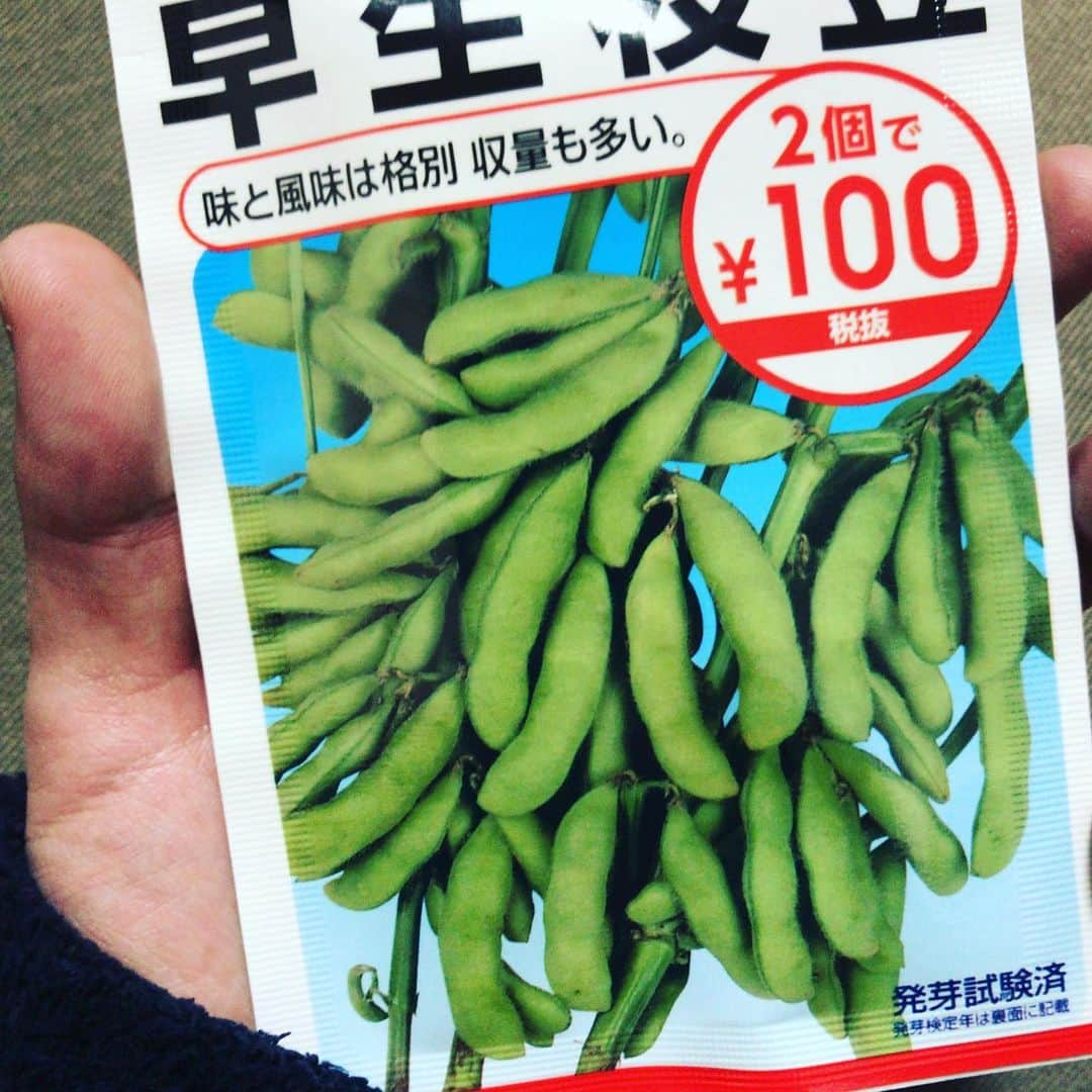 石井元気さんのインスタグラム写真 - (石井元気Instagram)「ベランダで家庭菜園！！ 枝豆をむっちゃ 植えました！！！ この夏は皆んなで枝豆パーティーしましょう！！！ #家庭菜園 #ベランダ #あきげん #石井元気 #枝豆」4月16日 20時53分 - genkiishii1226