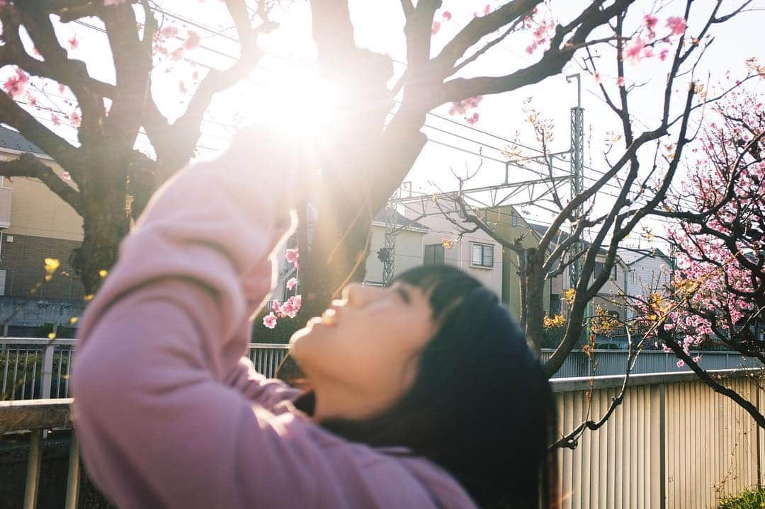 石神澪さんのインスタグラム写真 - (石神澪Instagram)「二十二✌️✌️ 愛には愛を！哀にも愛を！ しぬほど笑ってあほみたいに苦労しましょう！ いつもありがとう！ 20190416」4月16日 21時18分 - leipooon