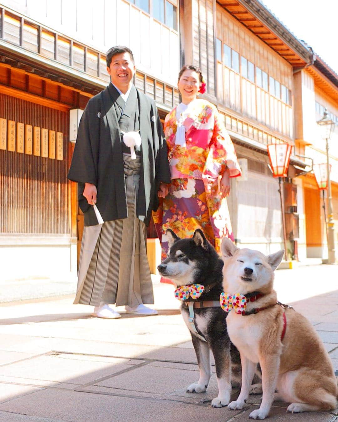 柴犬 けんしろう ゆりあさんのインスタグラム写真 - (柴犬 けんしろう ゆりあInstagram)「🐶🎎🐶スワイプしてね . ①ひがし茶屋街でお手手クロスして 記念撮影していたら.. ②素敵なカップルに遭遇〜✨ 前撮り撮影に参加させてもらっちゃった😍 (ゆりあの顔..😂) . . Location:金沢 #ひがし茶屋街 (2019.4.6撮影) . 花婿さん花嫁さん❤️ IGへの投稿快くOKしてくださり ありがとうございました😊」4月16日 21時10分 - nerishiro