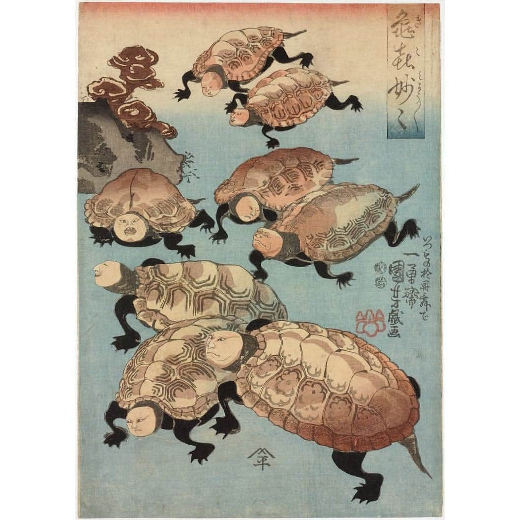 Daily SHUNGAさんのインスタグラム写真 - (Daily SHUNGAInstagram)「Turtle head 亀の頭！ 役者を亀で描いたよう。甲羅の紋様でどの役者かわかったらしい。 1848年」4月16日 21時12分 - daily_shunga