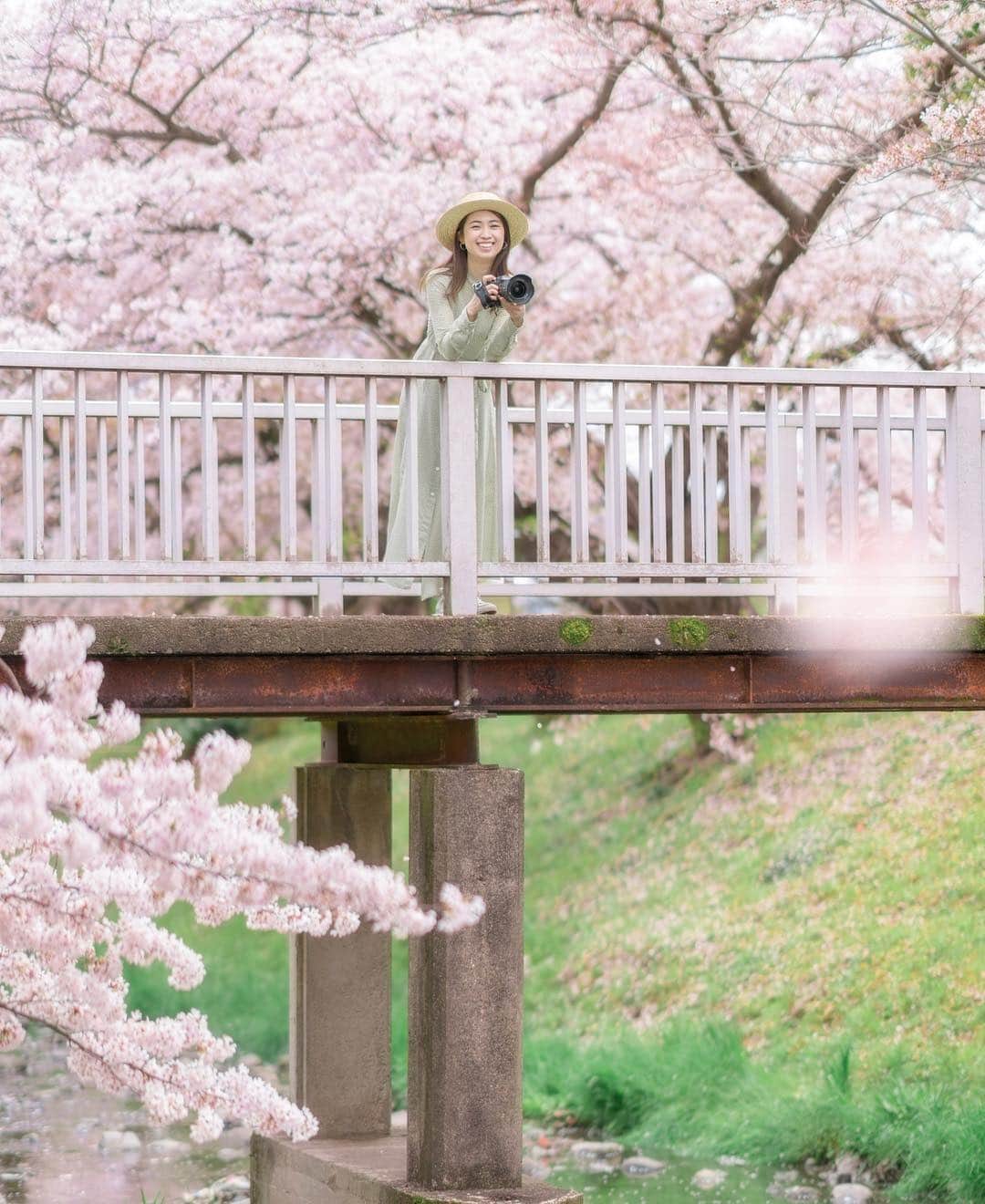 mikicoco00さんのインスタグラム写真 - (mikicoco00Instagram)「* * 今年も行けた🌸 タイミング良く満開～！ 今年の桜も綺麗だった🕺🍡 * * * * * #また来年#桜#春#綺麗#感動#青空#鏡面#spring#cherryblossom#pink#tokyo#japan#写真好きな人と繋がりたい#お花見#カメラ好き#ポートレート#ワンピース#サクラ」4月16日 21時12分 - mikicoco00
