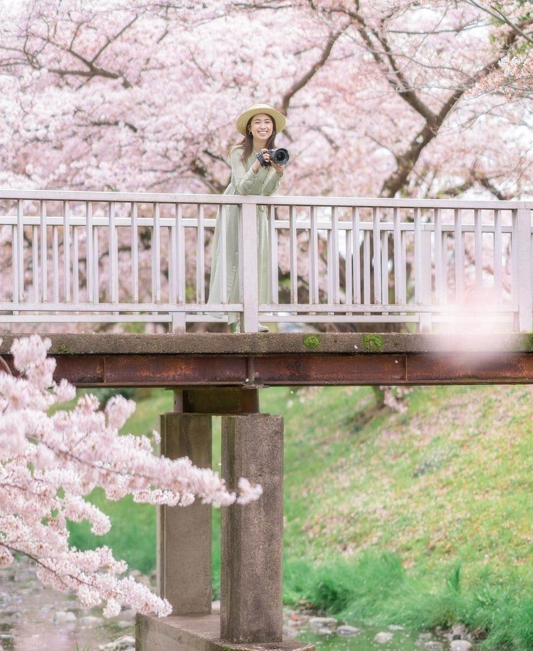 mikicoco00のインスタグラム：「* * 今年も行けた🌸 タイミング良く満開～！ 今年の桜も綺麗だった🕺🍡 * * * * * #また来年#桜#春#綺麗#感動#青空#鏡面#spring#cherryblossom#pink#tokyo#japan#写真好きな人と繋がりたい#お花見#カメラ好き#ポートレート#ワンピース#サクラ」
