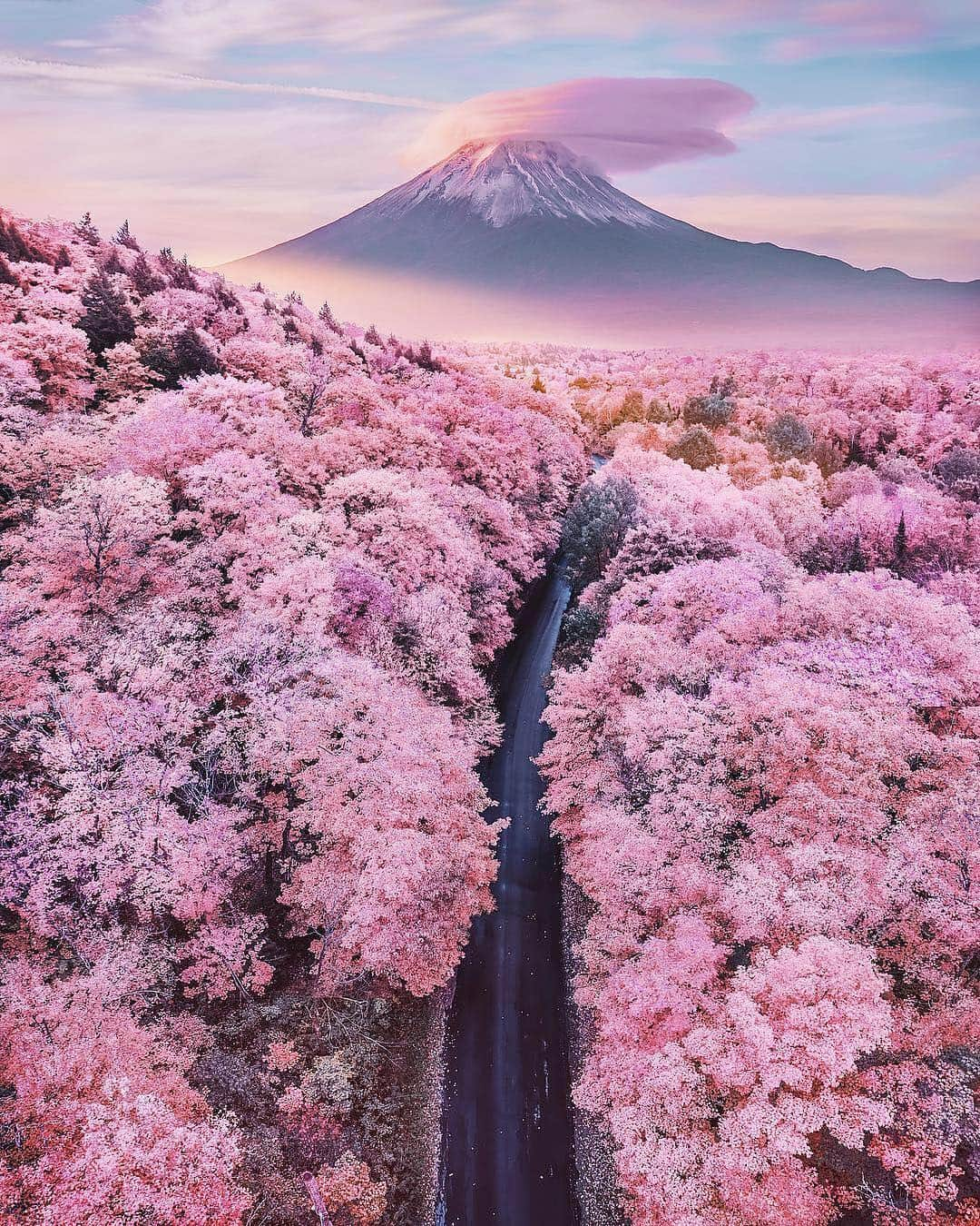 BEAUTIFUL DESTINATIONSさんのインスタグラム写真 - (BEAUTIFUL DESTINATIONSInstagram)「Getting lost in a sea of pink 🌸 (📷+ edit by @hobopeeba 📍: Fuji, Shizuoka)」4月16日 21時20分 - beautifuldestinations