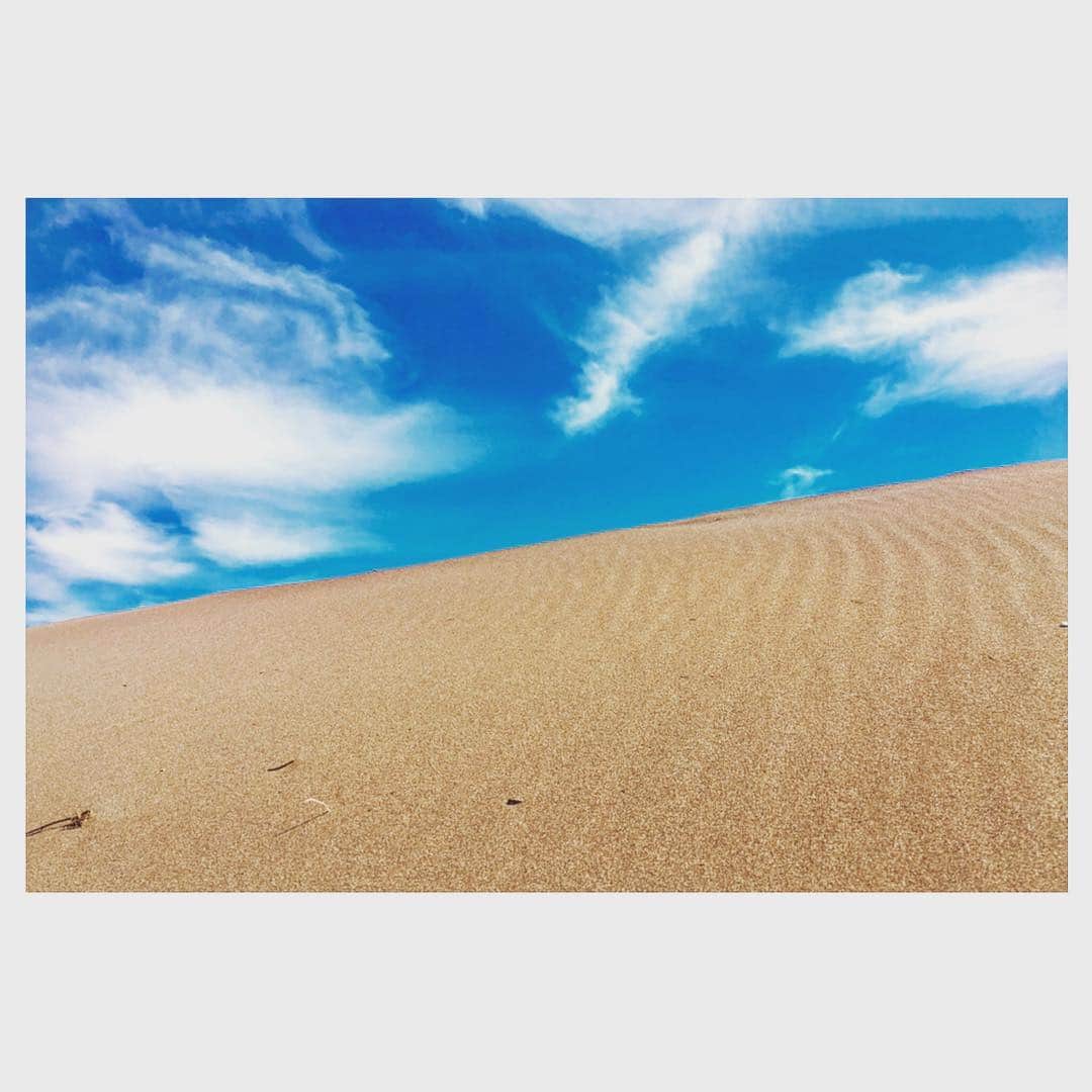 Caravanのインスタグラム：「なんだか異国にいるような  天気の良さでした。  色々とお知らせが続いてしまうのですが、  15年以上前からホームグラウンドとして  世話になっている横浜サムズアップが  21周年を迎えます。  5/3にワンマンライブで  お祝いしたいと思います。  ぜひ遊びに来て下さい！  チケット発売中。  詳しくはハーベストFacebookやホームページをご覧ください。  お問合せ→横浜サムズアップ 045-314-8705」