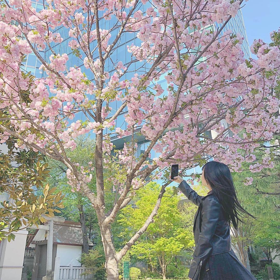 向井地美音さんのインスタグラム写真 - (向井地美音Instagram)「* いい天気だったね☻ #🌸」4月16日 21時39分 - ___mion.m