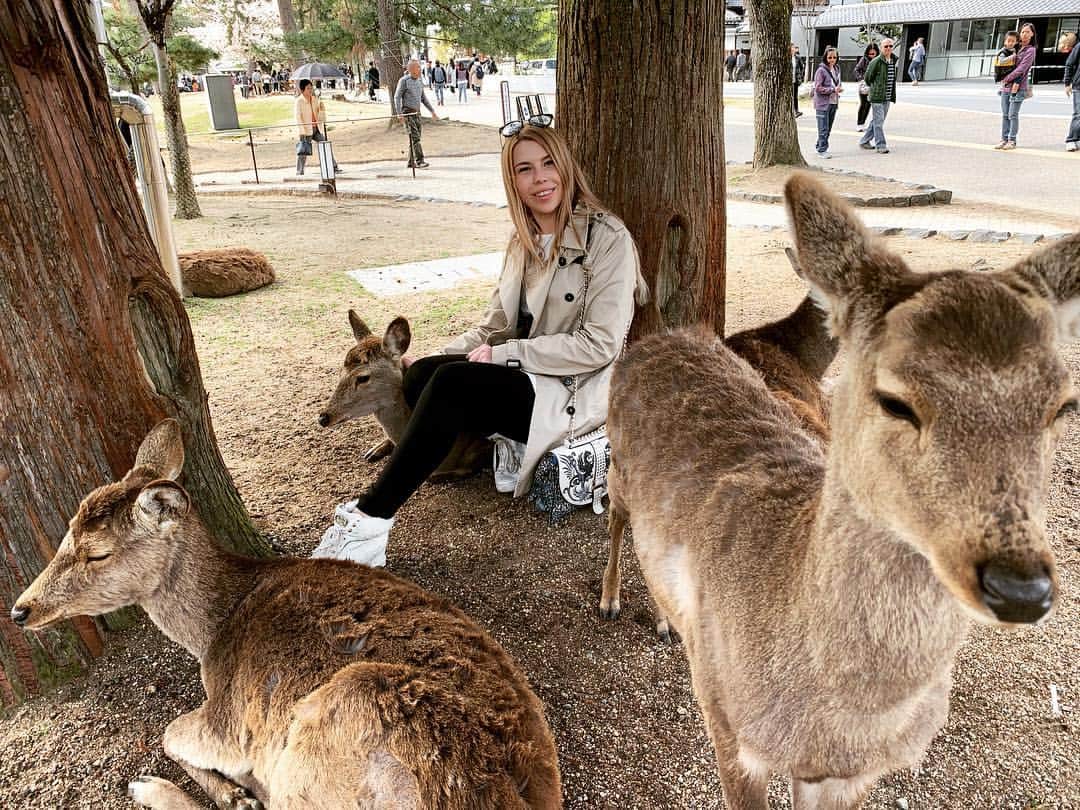 ALINA AKULAのインスタグラム：「Интересный факт о бежевых плащах в Японии - они везде! 🤣 Я сейчас не шучу)) 1/3 всех прохожих именно в них, разнятся лишь длина и оттенки)) так что я слилась с толпой, и даже оленьки ничего не заподозрили 🦌 . . #олень #deer #нарита #japanholiday #愛 #ファッション #今日一番いい写真  #芸術 #きれい #旅 #幸せ #自然 #instagramjapan #instajapan #photo_jpn #japan_of_insta #japan #japanawaits #alina__akula」