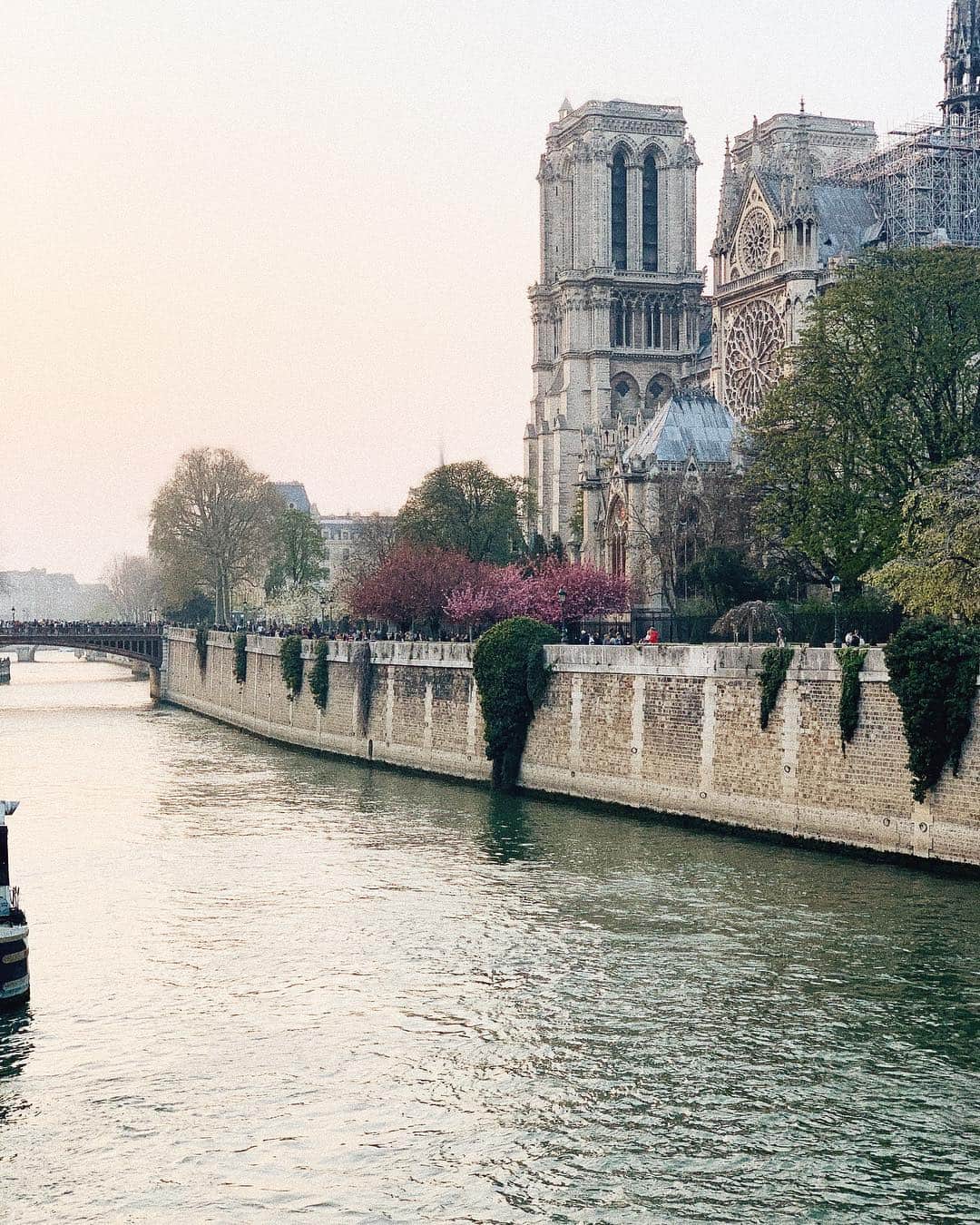Carin Olssonさんのインスタグラム写真 - (Carin OlssonInstagram)「Everyone has stories, moments, photos, memories and dreams of this beautiful, beautiful monument. Everyone has their own special connection to this landmark and Parisian icon no matter where they are in the world. ⠀⠀⠀⠀⠀⠀⠀⠀⠀ I’m struggling to find words to describe what we witnessed last night and all I can say is that it was absolutely heartbreaking to watch. I couldn’t believe my eyes. My heart aches for Paris, the people of France, anyone who calls this place home, and everyone who’s ever been touched by the beauty, art and history of Notre Dame. Thank you to the firefighters who must have worked tirelessly throughout the whole evening and night (and who are still there now) to save such an important part of Parisian history. ⠀⠀⠀⠀⠀⠀⠀⠀⠀ Everyone has their own story, photos and memories from the first time they laid eyes on the Notre Dame... And me? I count myself as lucky, having this treasure as my next door neighbour during the 5 years I spent on Île Saint Louis. I walked by this place on my way to the metro, the bus, when I went out for a little stroll just to stretch my legs or got to admire the cathedral when sitting at my favourite café at night, looking out over my favourite view in Paris... This has been my backdrop as I’ve cried, fallen in love, when I’ve been happy or when I’ve watched the spring blossom bloom every year since I first moved to Paris... It’s been the backdrop when I walked home after evenings out in the city, as I shared a first kiss and as my friends and I watched the sun set behind the Notre Dame while picnicking below.⠀⠀⠀⠀⠀⠀⠀⠀⠀ ⠀⠀⠀⠀⠀⠀⠀⠀⠀ It truly makes me realise that it’s so important to not take these places and this incredible (!) history that we get to lay our eyes on in the middle of the city everyday for granted. It stops me in my tracks nearly every single time and it will now remind me to stop even more often, take an extra minute and appreciate these historical and beautiful places all around the city even more than I ever did before ♥️」4月16日 21時57分 - parisinfourmonths