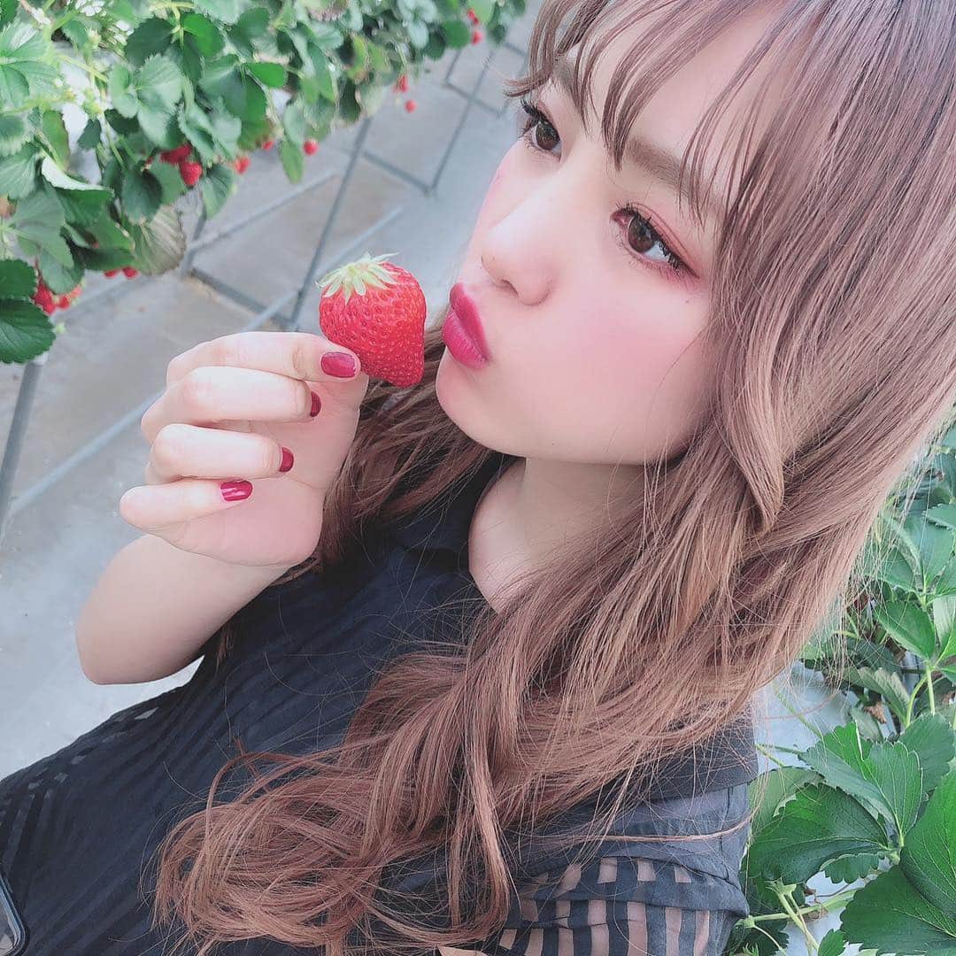 飯窪春菜のインスタグラム：「#📷 #えりぽんかわいい  #いちご狩り  #はるなの毎日  #飯窪ってる」