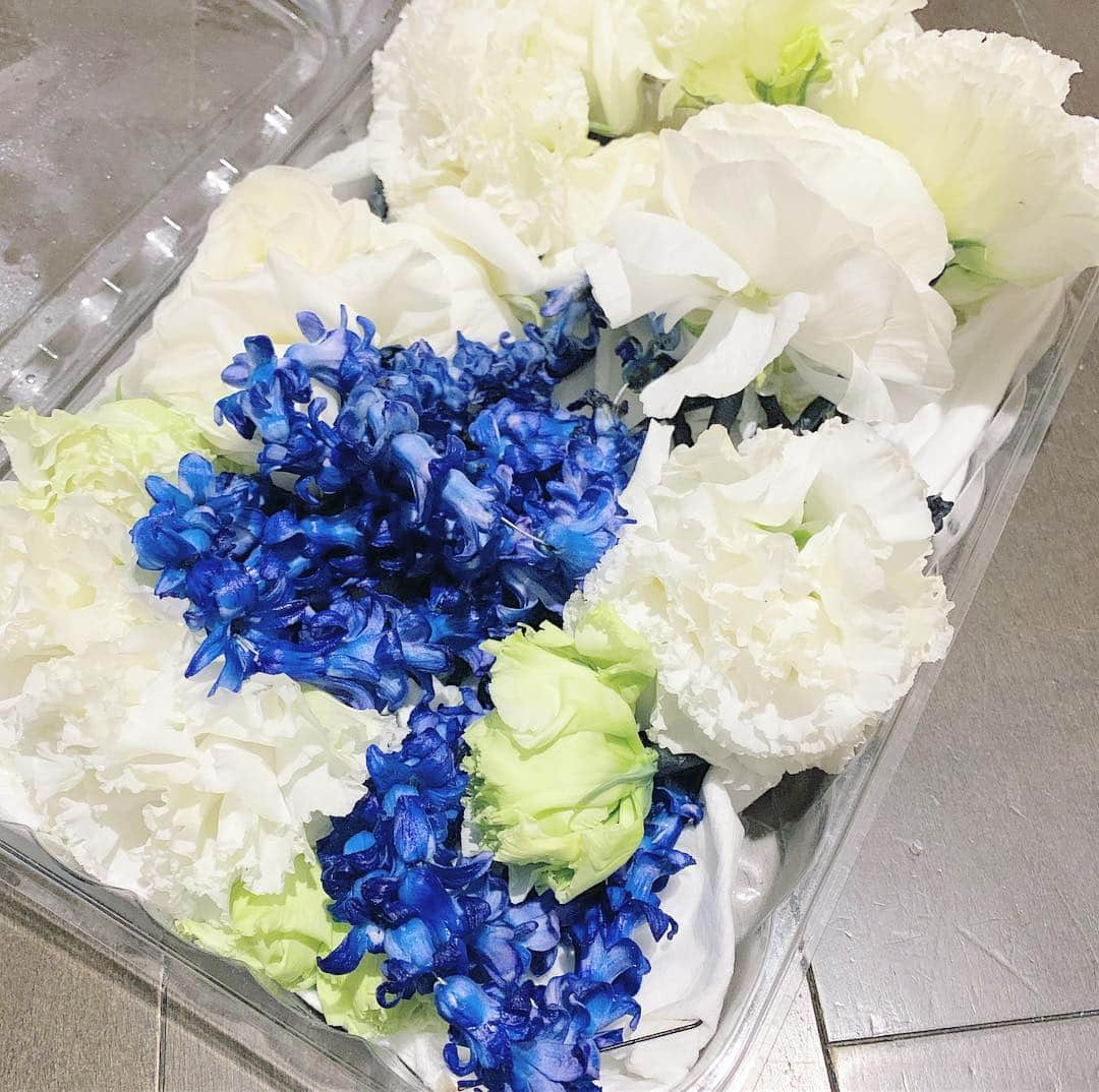 結城さなえさんのインスタグラム写真 - (結城さなえInstagram)「コンペの時のお花たち💐💐 普段のイベントでは造花の花飾りですが、コンペでは生花を使います。 楽屋はお花の香りでいっぱいで、とても幸せな気分に✨ レイはヒヤシンスを使った繊細なカラーグラデーションを作っていただきました💕💕お花でグラデーションなんて、なんて贅沢なんでしょう！ 髪飾りは、レイと同じヒヤシンスにトルコキキョウ、ラナンキュラスと上品かつ華やかな組み合わせ✨ 身につけ、香り、共に過ごすだけで胸がいっぱいになる感動❤️ この子達と一緒に踊れて幸せでした。 いただいたお花は記念にドライフラワーとハーバリウムにしました🌺🌺 ☆ #花 #フラ #レイ #髪飾り  #髪飾り生花  #ヒヤシンス  #トルコキキョウ  #ラナンキュラス  #グラデーション  #フラワーアレンジメント  #ドライフラワー  #ハーバリウム  #ホオナネアフラコンペティション  #アロハ #ハワイ #hula #aloha #flowers」4月16日 22時15分 - yuukisanae