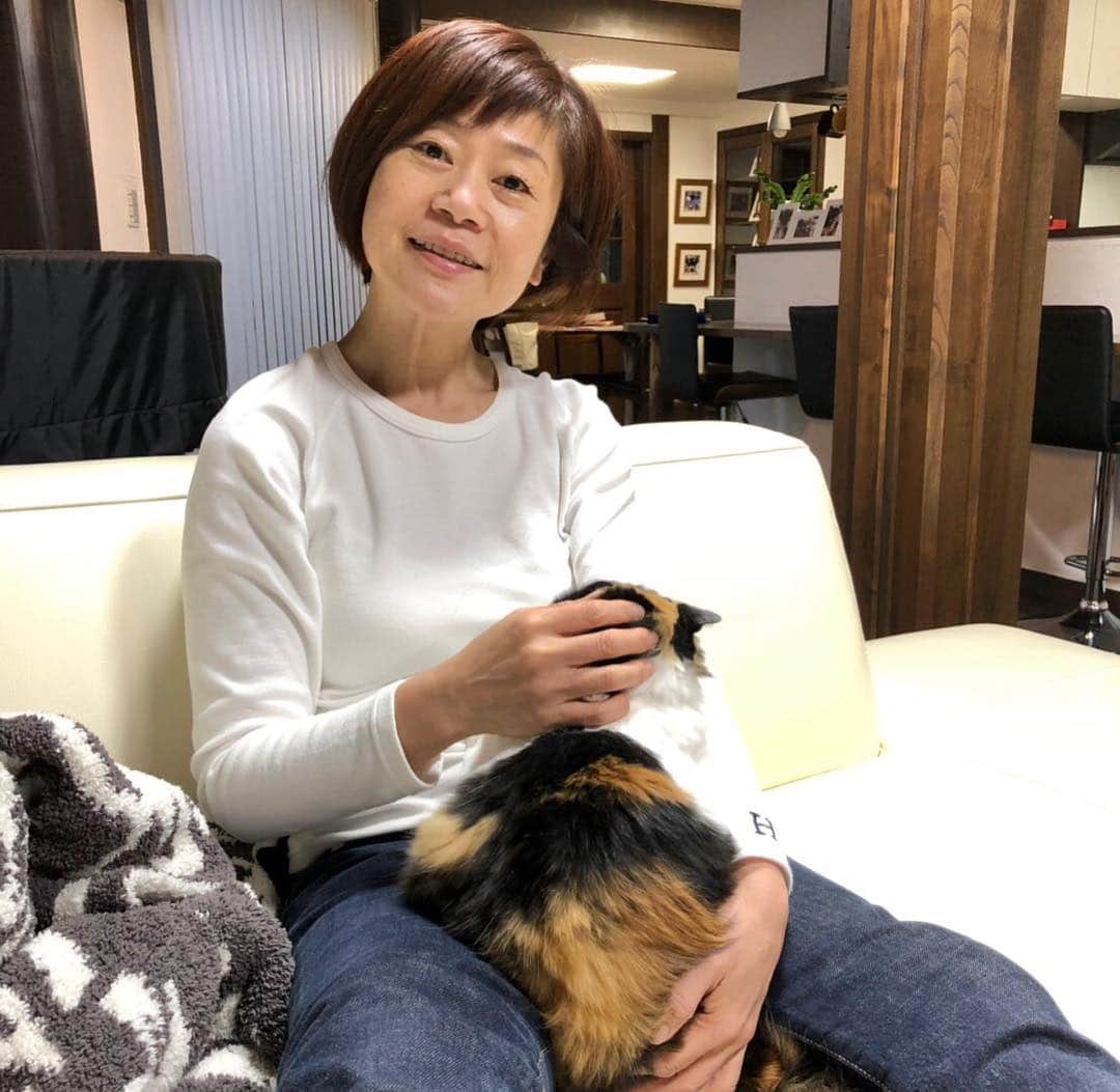 神野美伽さんのインスタグラム写真 - (神野美伽Instagram)「何日ぶりかで家に帰ると、２人で私の膝の争奪戦‼️ （笑） 今夜は、一緒だよ」4月16日 22時22分 - mika_shinno_japan
