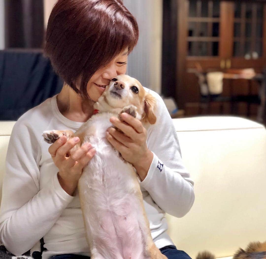 神野美伽さんのインスタグラム写真 - (神野美伽Instagram)「何日ぶりかで家に帰ると、２人で私の膝の争奪戦‼️ （笑） 今夜は、一緒だよ」4月16日 22時22分 - mika_shinno_japan