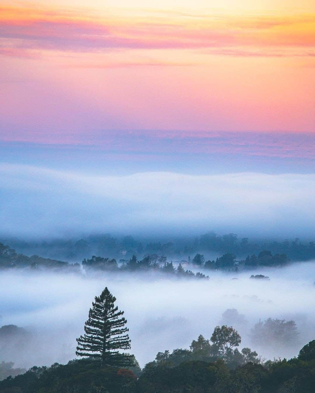 REIさんのインスタグラム写真 - (REIInstagram)「"Peaceful mornings in the Sonoma hills, sometimes worth the wake up call." // @codymayer22 in Sonoma County, #California #OptOutside」4月16日 22時31分 - rei