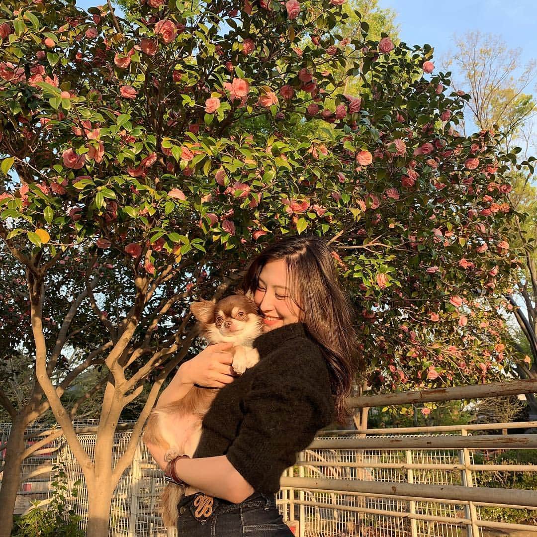 のインスタグラム：「本日もこいつと一緒🌞🐶💐💕✨ #本日のチュロ #ドッグランはやっぱりひとりぼっち #人見知り犬見知り #ちょっとは慣れるように頑張ろうね #でも昔より社会性身についてきた #ゆっくりチュロのペースでね #我が強くて独占欲強くて手が焼ける時もあるし噛むしたまに憎たらしいけど優しくて男前でクールで賢くて臆病だけど本当は人間が大好きなチュロ全部含めて大好き #愛してるよ」