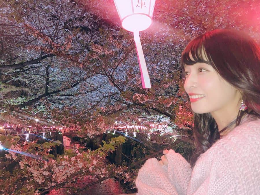 四島早紀さんのインスタグラム写真 - (四島早紀Instagram)「🌸❤︎ 夜桜見物 🌃🌉❤︎🌸 . . 夜桜 も綺麗でした〜❤︎お花見〜❤︎。 . 平成最後の桜見に行けて幸せ🌸❤︎ 日本の四季って素敵だよね〜❤︎ . . #桜 #夜桜 #夜桜見物 #🌸 #目黒川 #目黒川の桜 #中目黒 #葉桜 #平成最後 #平成最後の桜 #Follwme #フォロー #いいね歓迎 #お花見 #日本」4月16日 22時47分 - saki_shishima