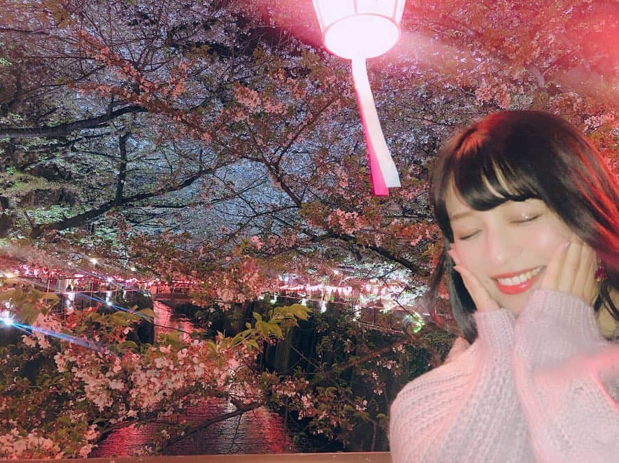 四島早紀さんのインスタグラム写真 - (四島早紀Instagram)「🌸❤︎ 夜桜見物 🌃🌉❤︎🌸 . . 夜桜 も綺麗でした〜❤︎お花見〜❤︎。 . 平成最後の桜見に行けて幸せ🌸❤︎ 日本の四季って素敵だよね〜❤︎ . . #桜 #夜桜 #夜桜見物 #🌸 #目黒川 #目黒川の桜 #中目黒 #葉桜 #平成最後 #平成最後の桜 #Follwme #フォロー #いいね歓迎 #お花見 #日本」4月16日 22時47分 - saki_shishima