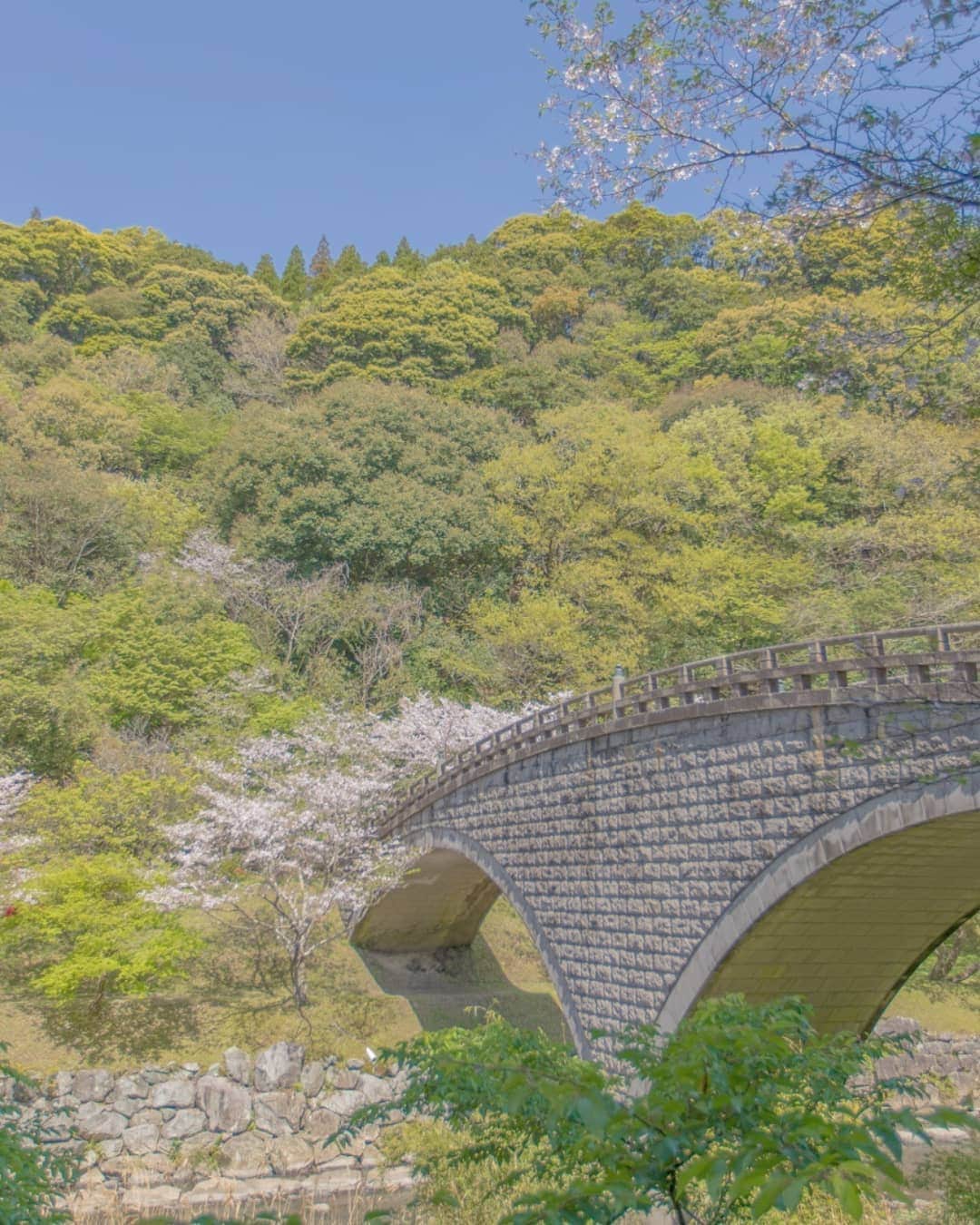鹿児島よかもん再発見さんのインスタグラム写真 - (鹿児島よかもん再発見Instagram)「南九州市川辺町岩屋公園内(^-^)/ トイレもなにやらいい雰囲気だったもので。。(笑)  #鹿児島 #鹿児島の風景  #鹿児島の桜  #南九州市 #川辺町 #岩屋公園 #カメラブ」4月16日 23時05分 - kagoshimayokamon
