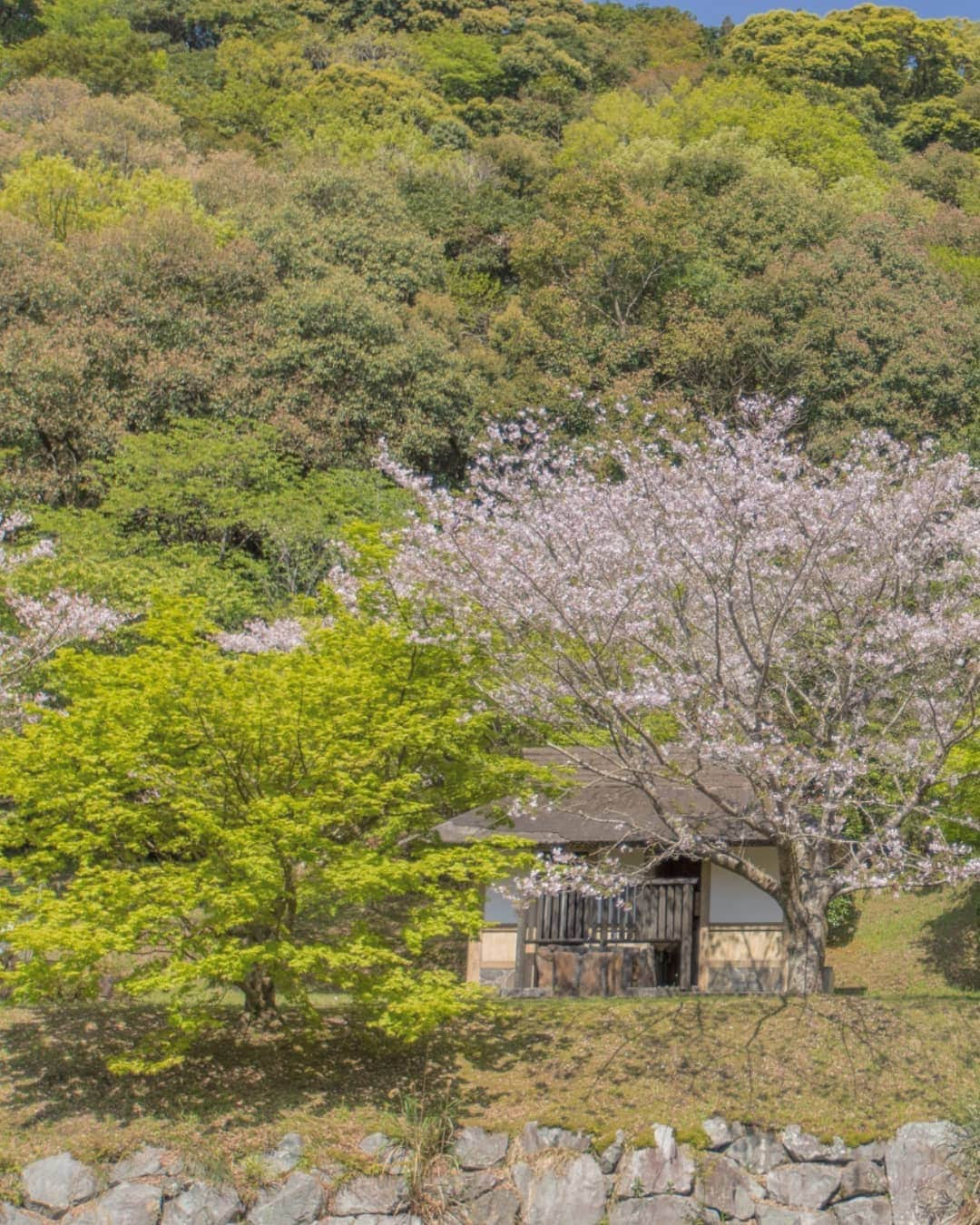 鹿児島よかもん再発見のインスタグラム