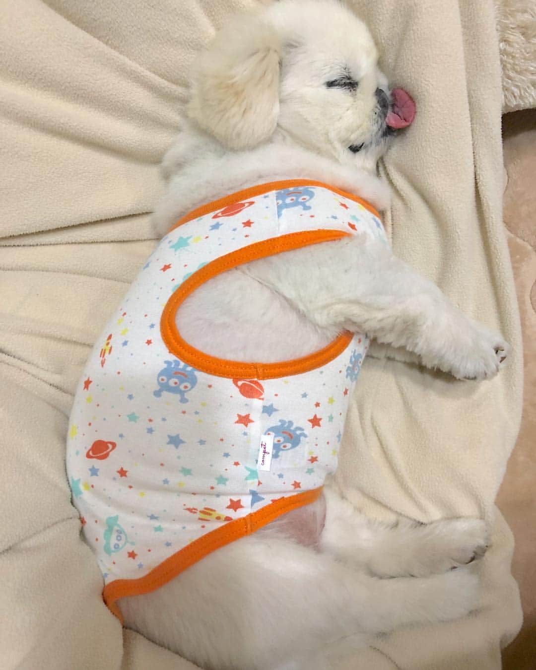 こなつのインスタグラム：「🙊🙈💤折りたたみ式👅 #🤣」